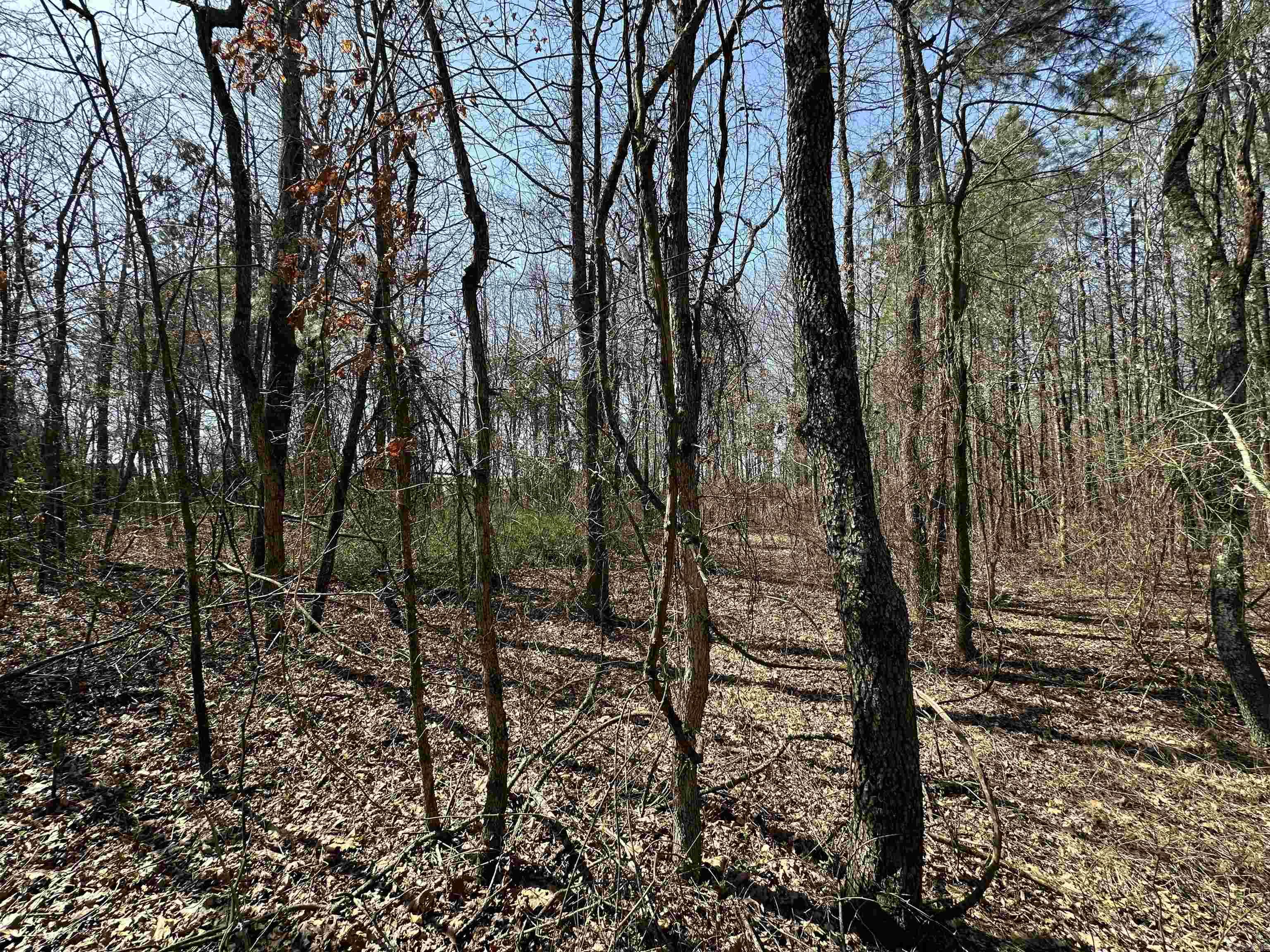 Metes & Bounds - Land