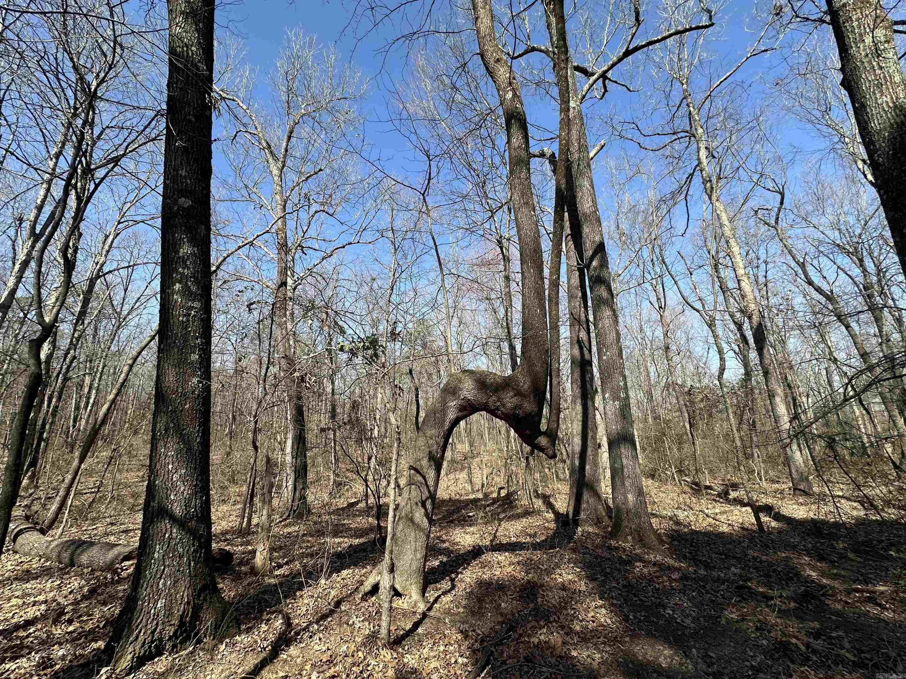 Metes & Bounds - Land