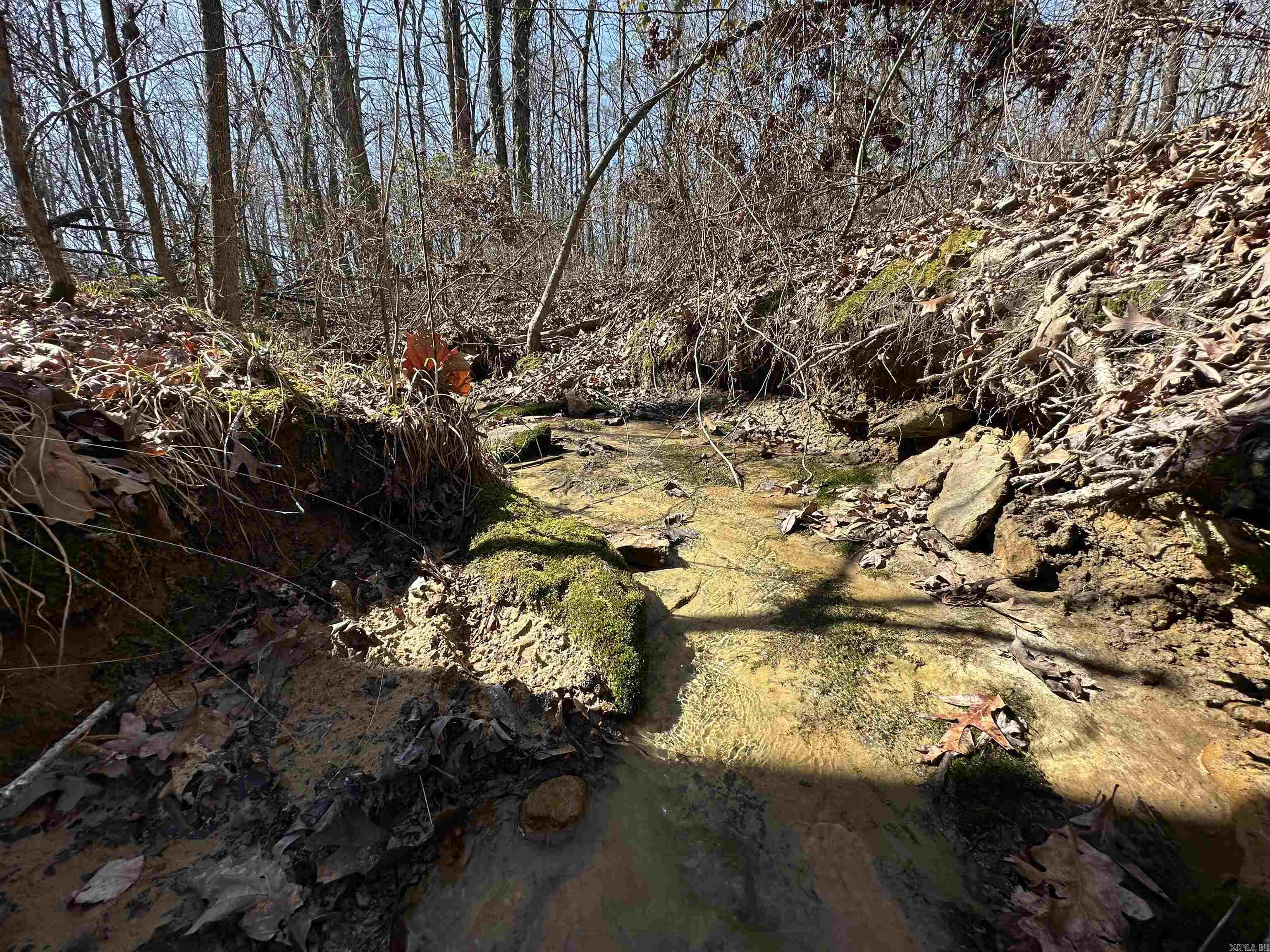 Metes & Bounds - Land