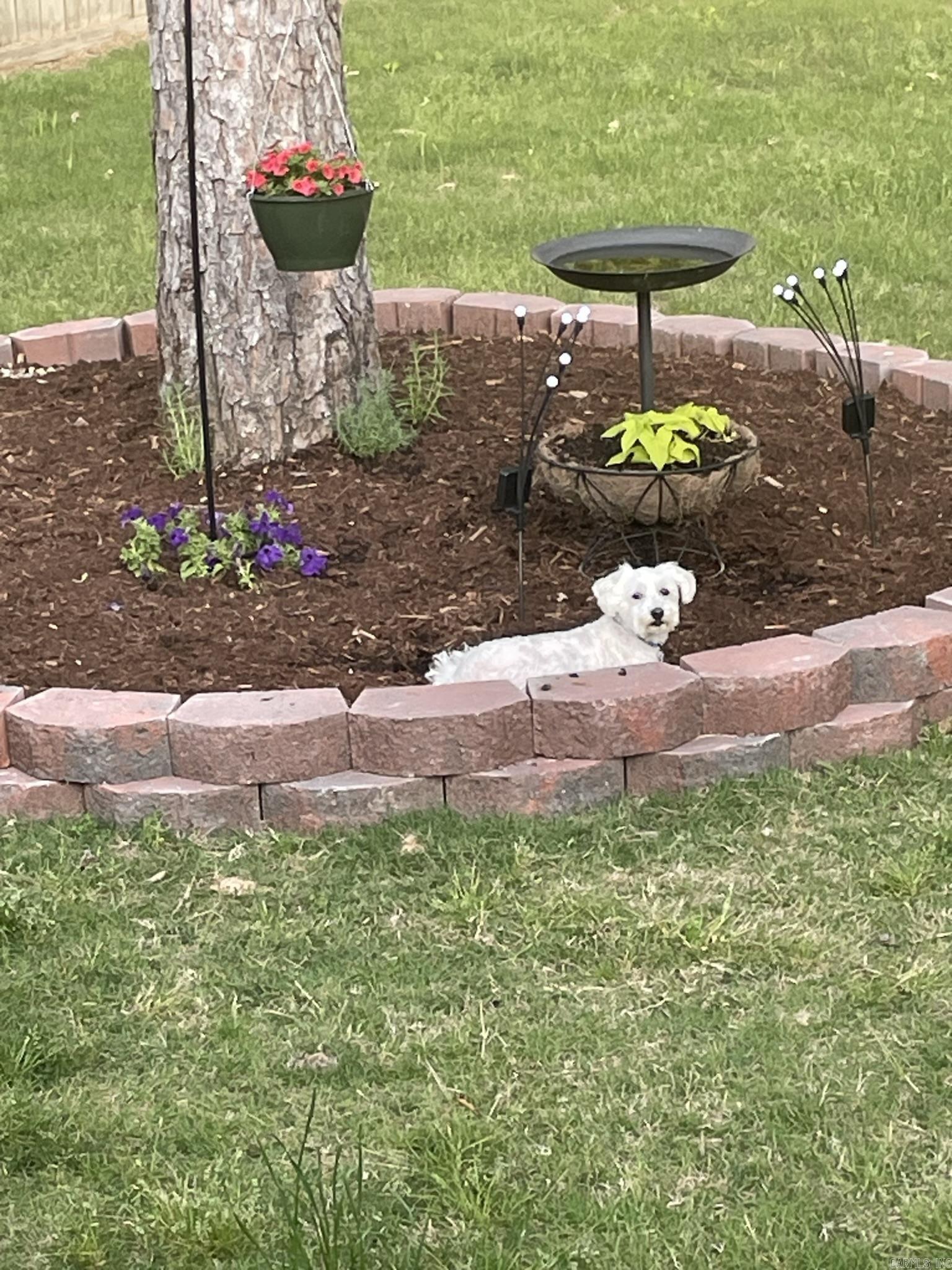 TIMBERMIST - Residential