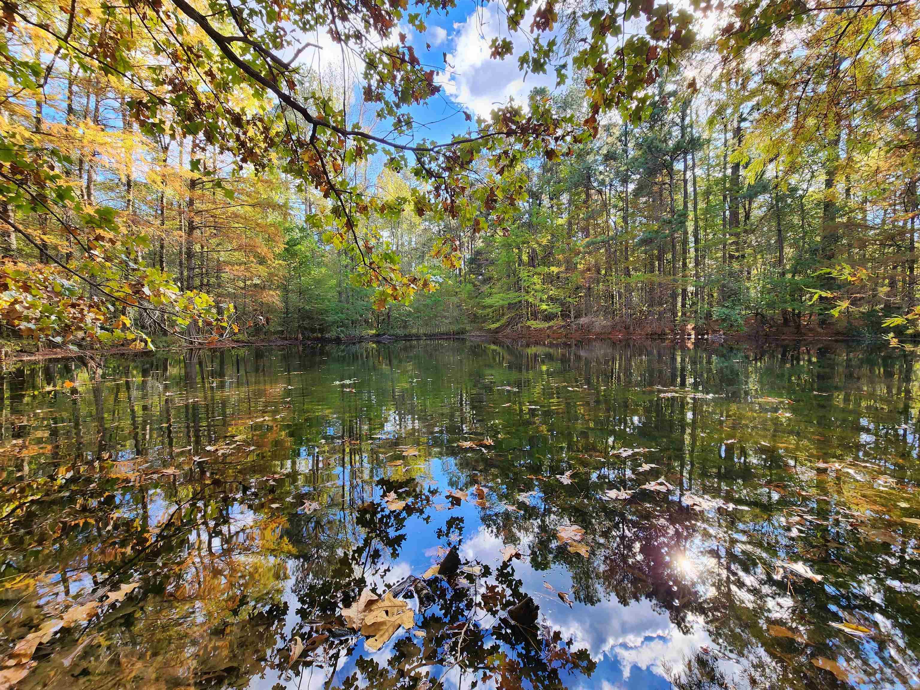 MCNEIL - Residential