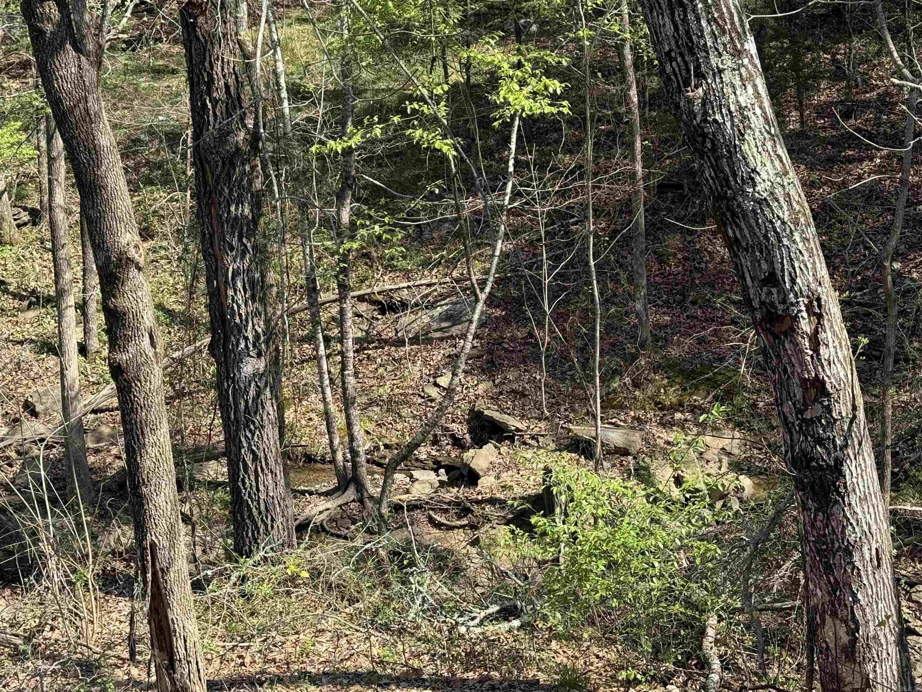 TERRACE TOWNHOUSE ASSOCIATION - Residential