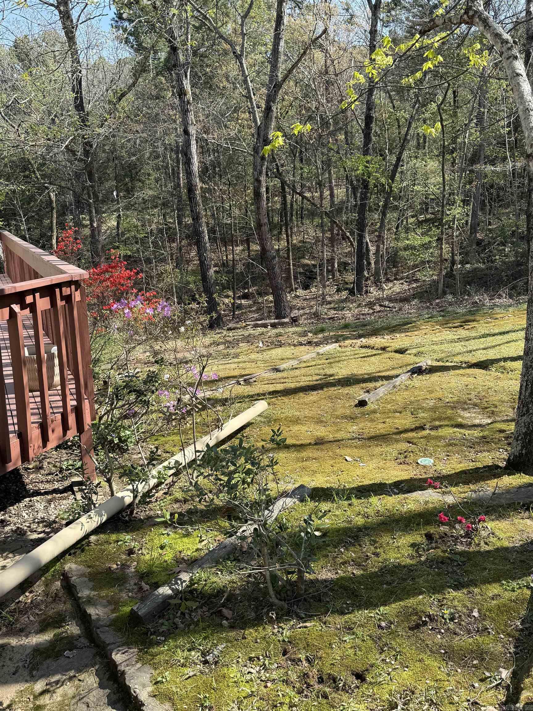 TERRACE TOWNHOUSE ASSOCIATION - Residential