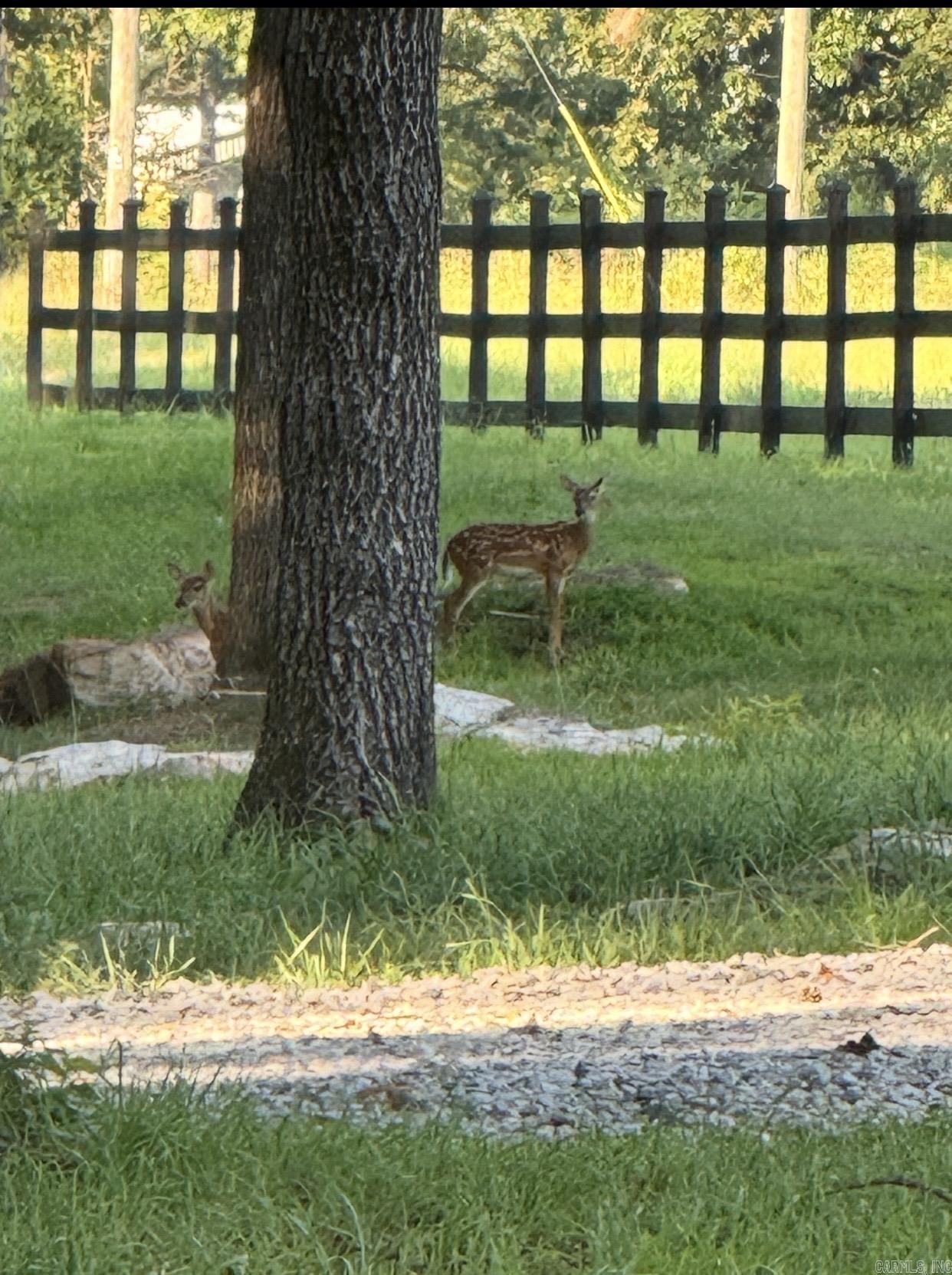 Metes & Bounds - Land