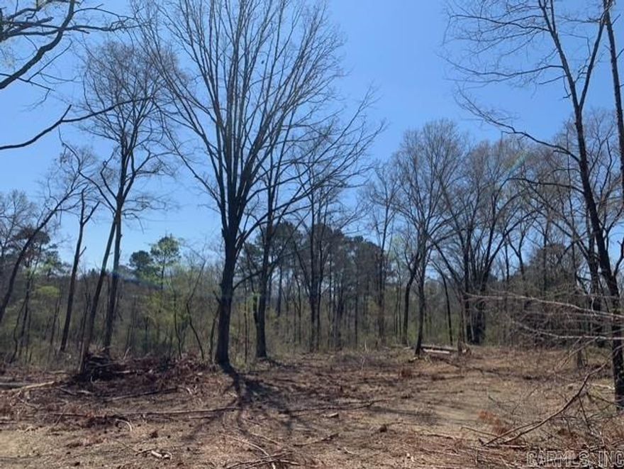13.97 acres directly across from Bismarck Schools and only a half mile to Lake DeGray. Minutes to Hot Springs. Kimzey water and fiber already at edge of the property. Beautiful hardwoods and rolling hills make it the perfect place to build your dream home. Outside city limits, no restrictions. So much TLC has been given to this land! Will include electricity. Price reflects some logging clean up needed.