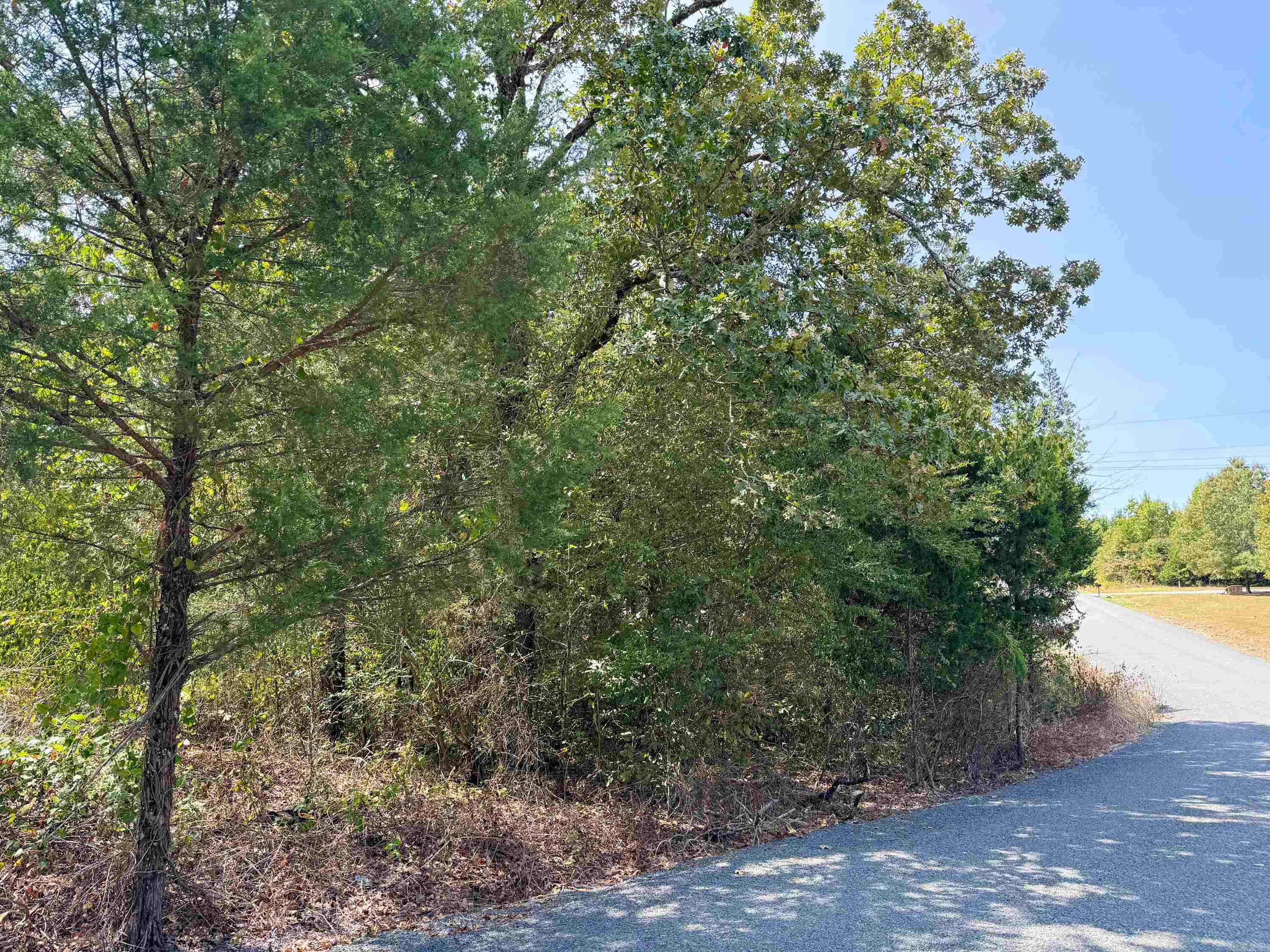 Three-acre tract in the Quitman School District, just five minutes from the school. Mostly wooded, with a cleared path in to a level area, after which the tract declines into a nice valley. Water and power are at the road. No restrictions.