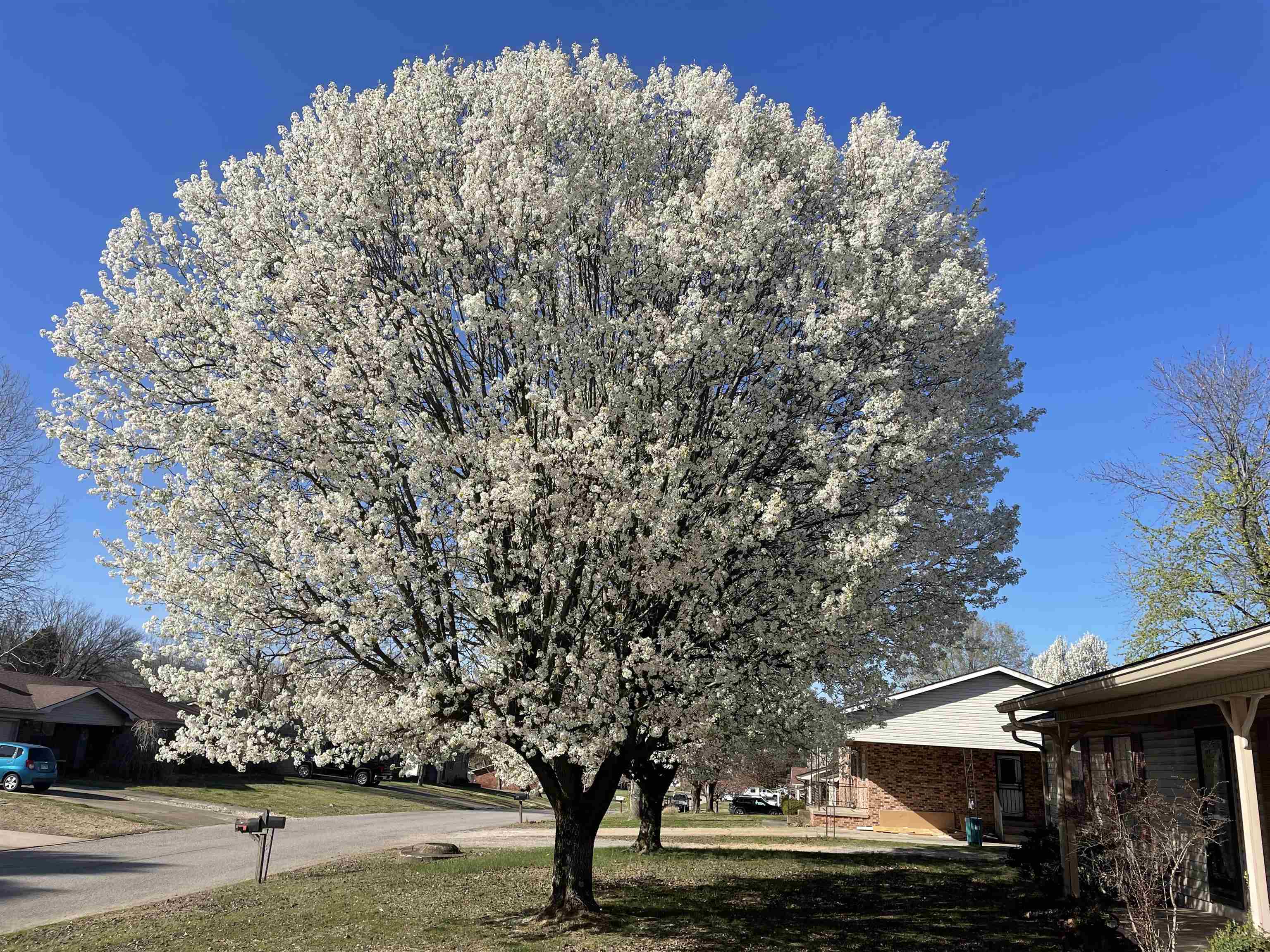 SHADY ACRES MH PARK - Residential