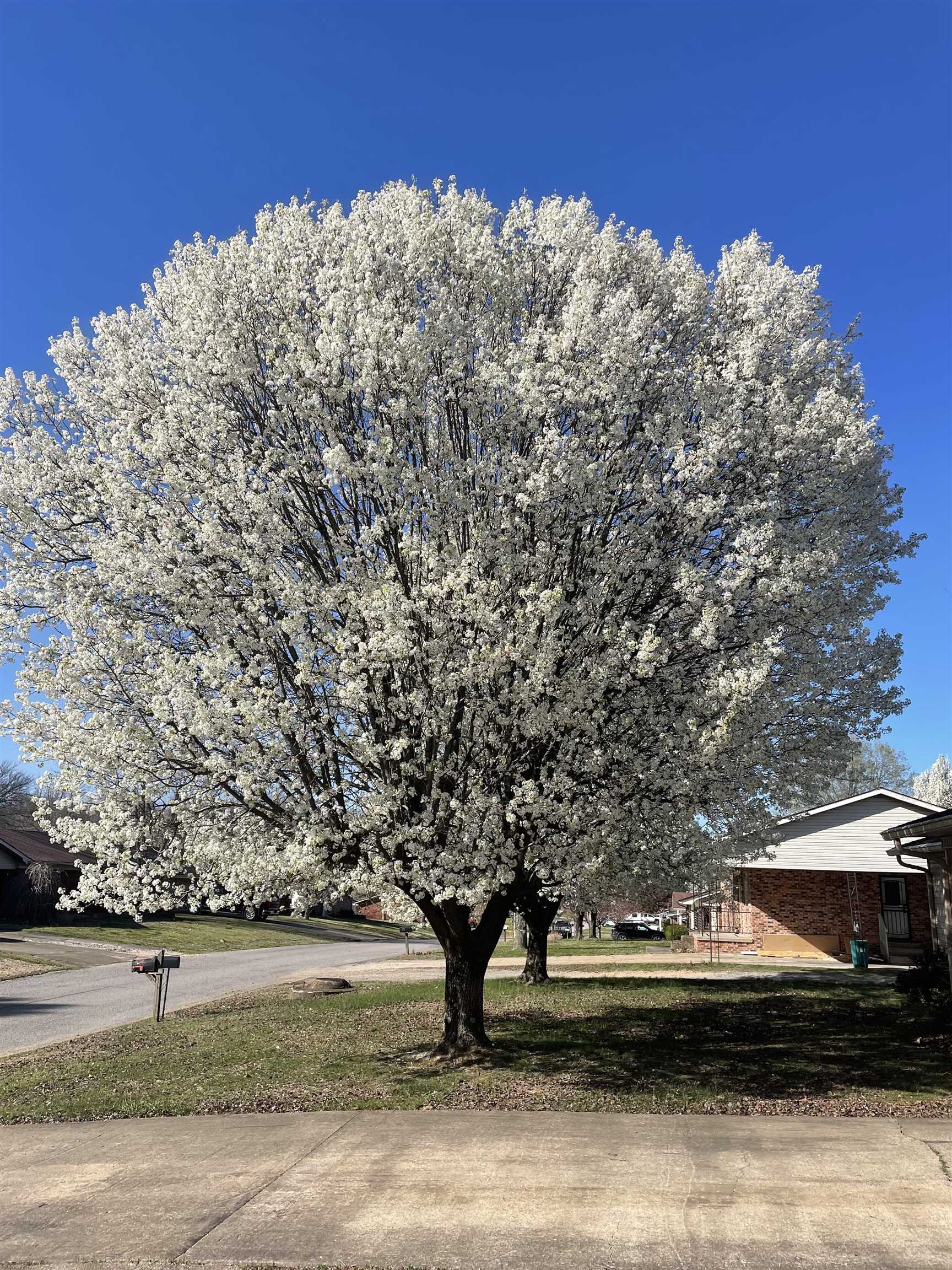 SHADY ACRES MH PARK - Residential
