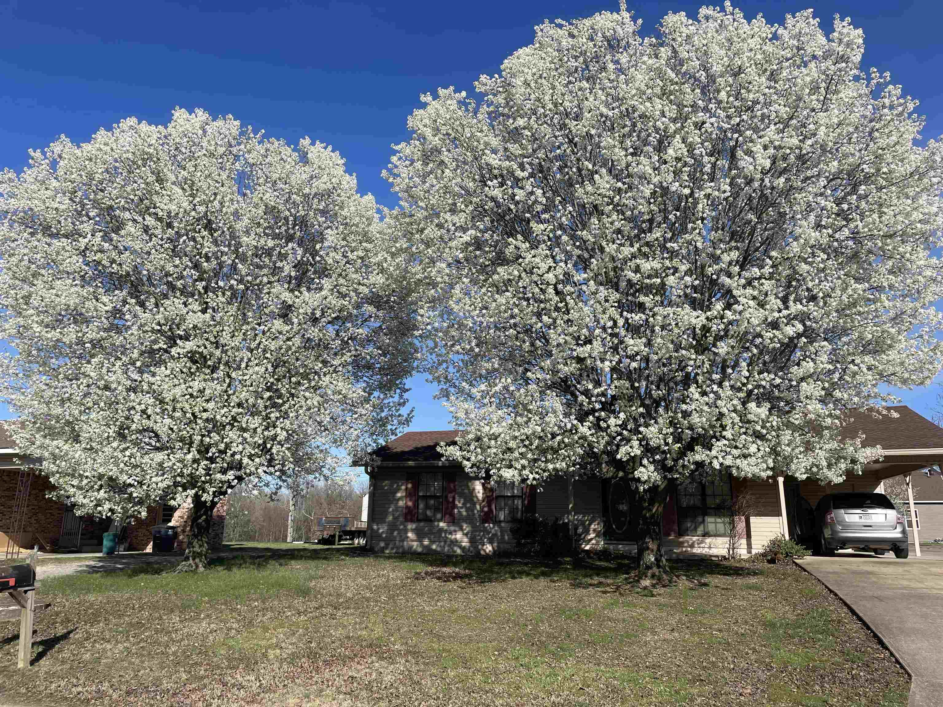 SHADY ACRES MH PARK - Residential