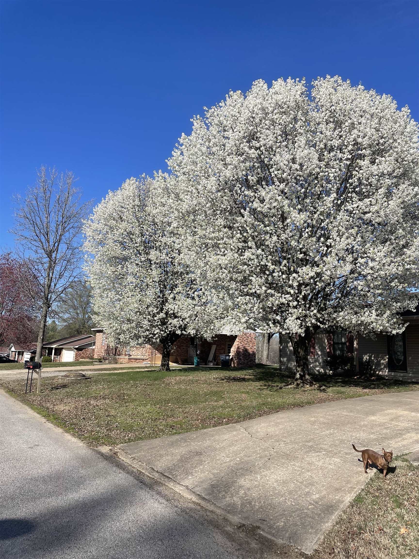 SHADY ACRES MH PARK - Residential