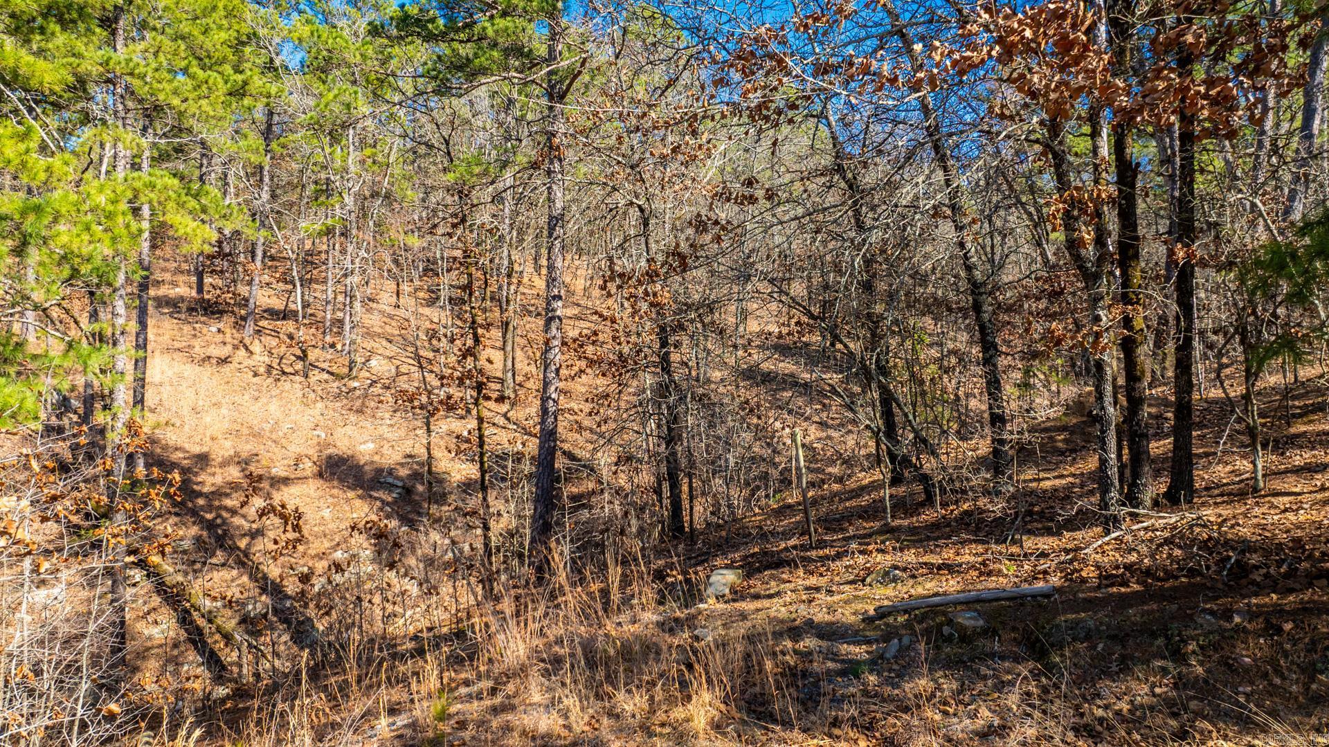 Mountain River Estates - Land