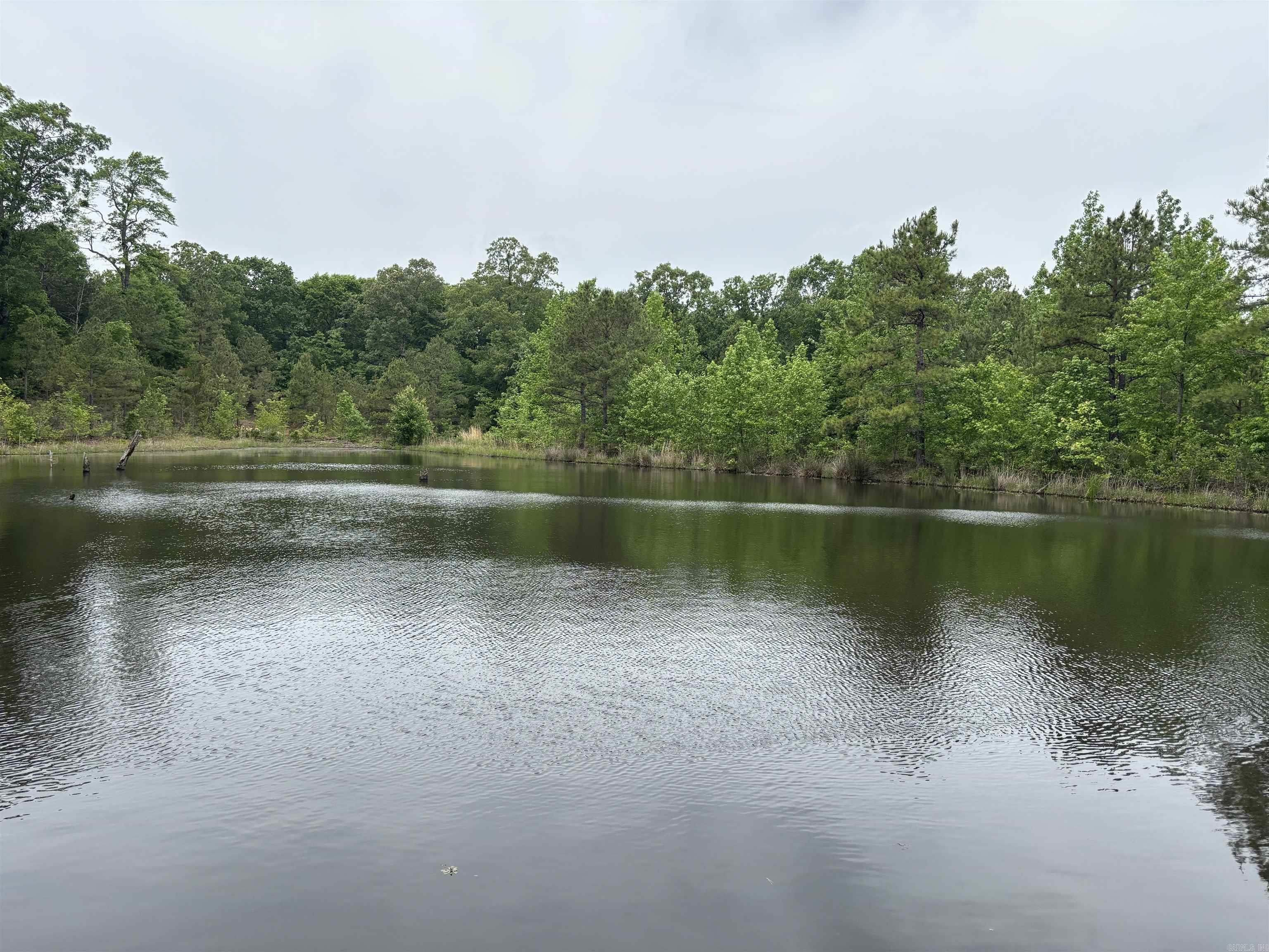 65+- acres with a 2 acre pond deep enough to not go dry. Hardwood/Cedar mix located throughout the property. Nice road system cut through the property with a live artesian well! excellent getaway property with small hills. The pond is located on backside of property with a gravel road providing access. Several build sites located across the land. Outstanding place for a retreat, hunting, fishing, or turn into a homeplace.