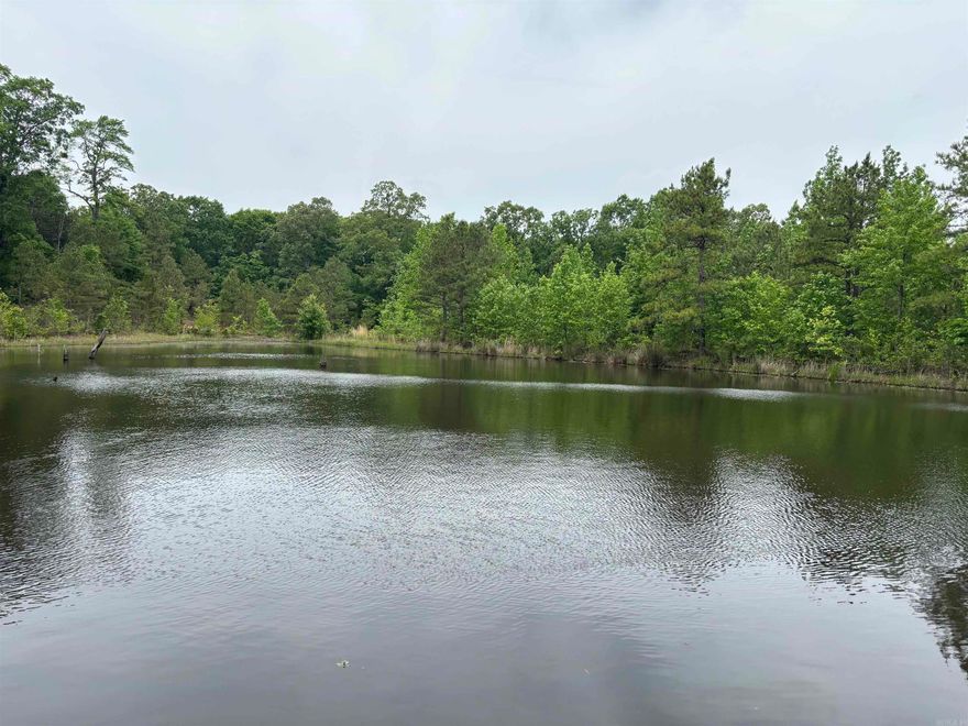 65+- acres with a 2 acre pond deep enough to not go dry.  Hardwood/Cedar mix located throughout the property.  Nice road system cut through the property with a live artesian well!  excellent getaway property with small hills.       The pond is located on backside of property with a gravel road providing access.  Several build sites located across the land.  Outstanding place for a retreat, hunting, fishing, or turn into a homeplace.