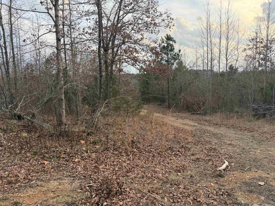 The "414" 40 acre property is accessed off of polk Road 414 by an easement road.  This easement road runs up through the property to the top of the Ridge where there are great views of the Ouachita Mountains and Great Building Sites!  This property is undeveloped and ready for you to make it your own.  Some Trees and clearing are on this Property.  No Restrictions! Livestock allowed!  Great Recreational Opportunity!  This Property could be subdivided if the new owner desired.  Property to be surveyed for correct legal description and acreage