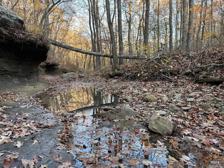 Nestled within the picturesque landscapes of Van Buren County, Arkansas, this exceptional property offers an unparalleled opportunity to own 74.34 surveyed acres of secluded and scenic land that directly adjoins the Ozark National Forest. The property's immediate proximity to the Ozark National Forest enhances its appeal, providing access to a vast expanse of preserved wilderness. The land features mature hardwood timber and a seasonal creek which flows through the Southern portion of the property. The gentle terrain is another unique feature for this tract which is a rare feature for mountainous landscapes. Lastly, this property can offer modern convenience as utilities including fiber are located just a quarter mile away. This land is accessed off Hatley Mountain Road down a deeded easement that includes access to utilities. No Mineral Rights convey with this property.