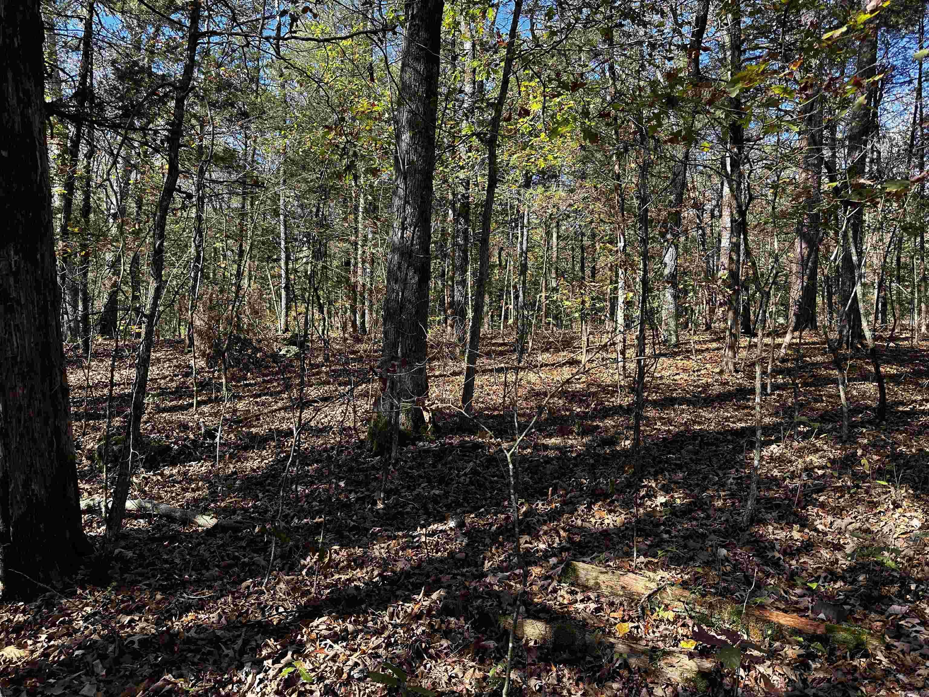 Wooded lot in the Deer Run Subdivision just outside of the city of Evening Shade, Arkansas in Sharp County. This has a shared lake of about 35 acres +/- but property is not ON the lake. This property comes with a Limited warranty deed.