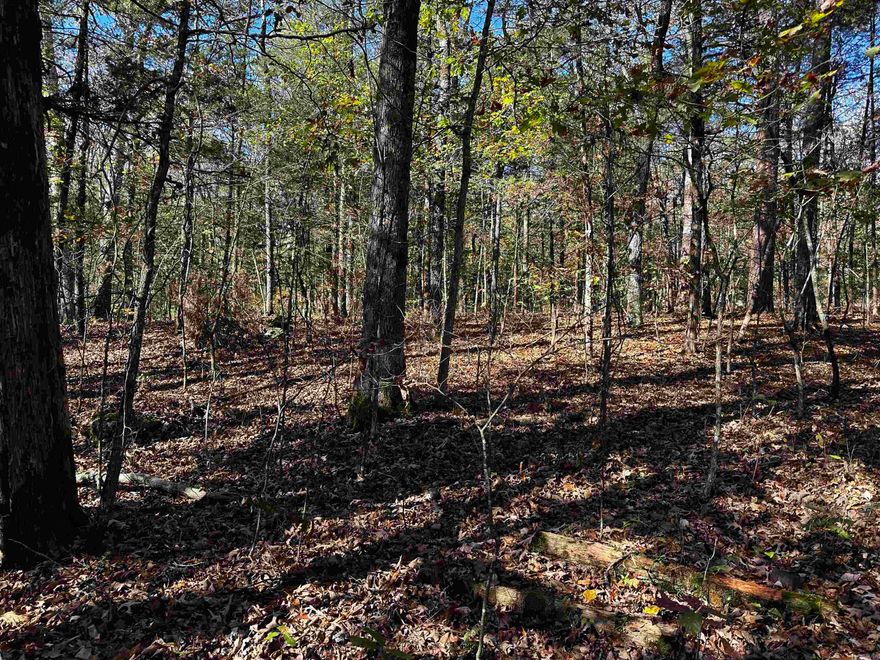 Wooded lot in the Deer Run Subdivision just outside of the city of Evening Shade, Arkansas in Sharp County.  This has a shared lake of about 35 acres +/- but property is not ON the lake.  This property comes with a Limited warranty deed.