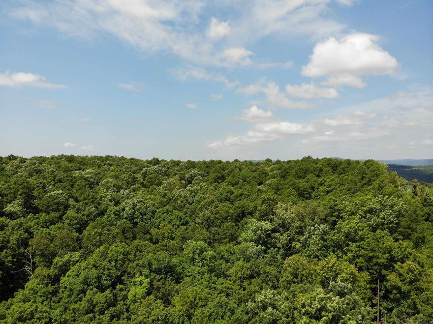 Here is 20 acres of trees on flat and sloped ground. Quiet, peaceful place for your hunting, camping or homestead. Great place to build your forever home. Call or text today to see this beautiful property.