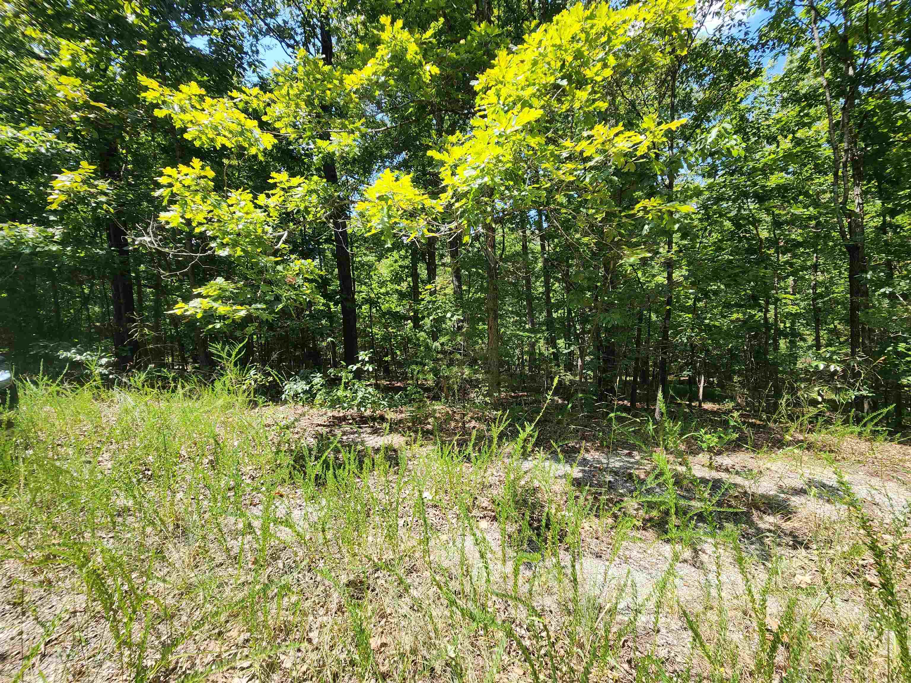 Fantastic lot up on the Northwest side of the Village. Secluded and wooded this is a great lot to build your forever home on..... or your vacation home or just a nice sized cabin to get away from it all. Come take a look at this lot and pick out your building spot. Fulton county side of the Village means that high speed internet is fiber optic. Cherokee Village has 7 lakes to fish and boat in as well as 2 18-Hole golf courses, The Thunderbird and Omaha Centers provide swimming and putt putt golf and The beautiful Southfork river winds right through the Village as well. Come take a look at what living the Village life can be like and you'll probably never want to leave.