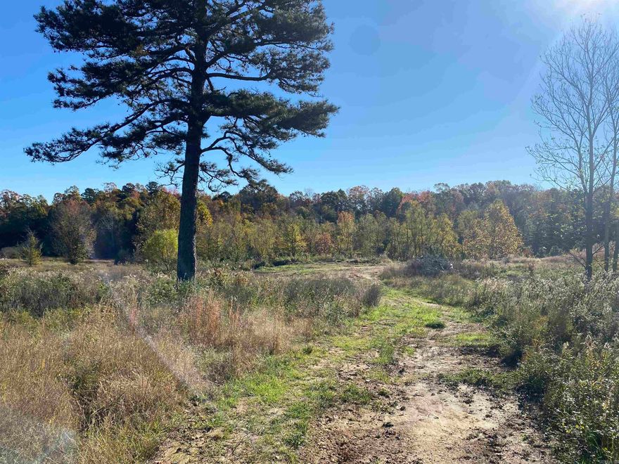 Build your dream home or hold for investment!  This 5.5 acres is on Hwy 163 right past Hill Country Estates. Located on a paved road, owner has put in a driveway and begun a building pad. No restrictions.