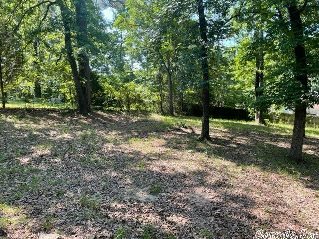 WASHINGTON RIDGE - Residential