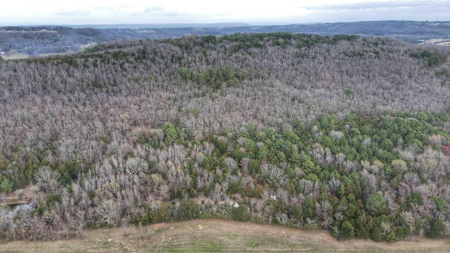 An opportunity to own over 20 acres of beautiful wooded land in Russellville, located in scenic Pope County. This private tract offers the perfect blend of natural beauty, seclusion and convenience. Mature hardwoods and rolling terrain and a pond create an ideal setting for a custom home, weekend retreat or recreational getaway. Plenty of space for trails, wildlife viewing, hunting or simply enjoying the peaceful surroundings. With over 20 acres, there is flexibility to design your ideal homesite while maintaining privacy and natural buffers. Located just minutes from town, the land offers easy access to shopping, dining and local amenities while allowing you to enjoy the quiet of the countryside. Whether you are looking to build, invest or escape to nature, this wooded acreage provides endless possibilities.