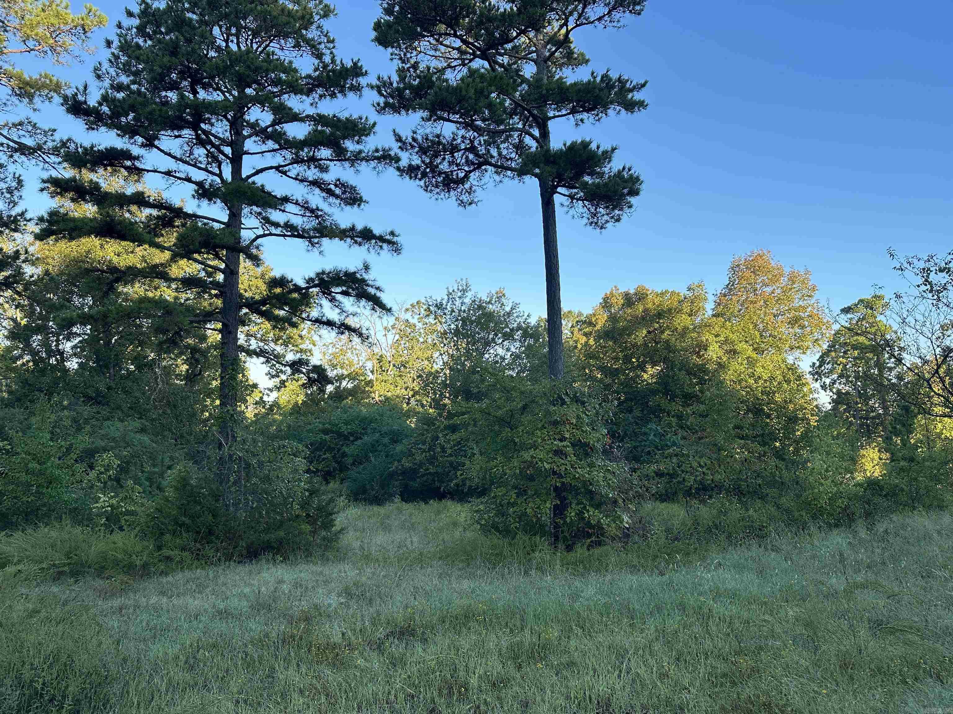 It's 3 acres plus or mines inside Clinton city limits near Ozark Health's Two-story hospital and a stone's throw away from Clinton's brand-new fire station and walking distance to Clinton Drug Store and doctors' clinics, and right at the backway into Clinton Wal-Mart. This grassy 3 acres is screaming with the amenities of small town America, with a small pond, a couple of horse stalls, shop sheds, a barn, and small living quarters. This property has great building sites for a retirement home or starter home. It would make a great place to build cabins or apartments for out-of-town doctors and nurses to stay over. This is an old residential lot that could be commercial property.