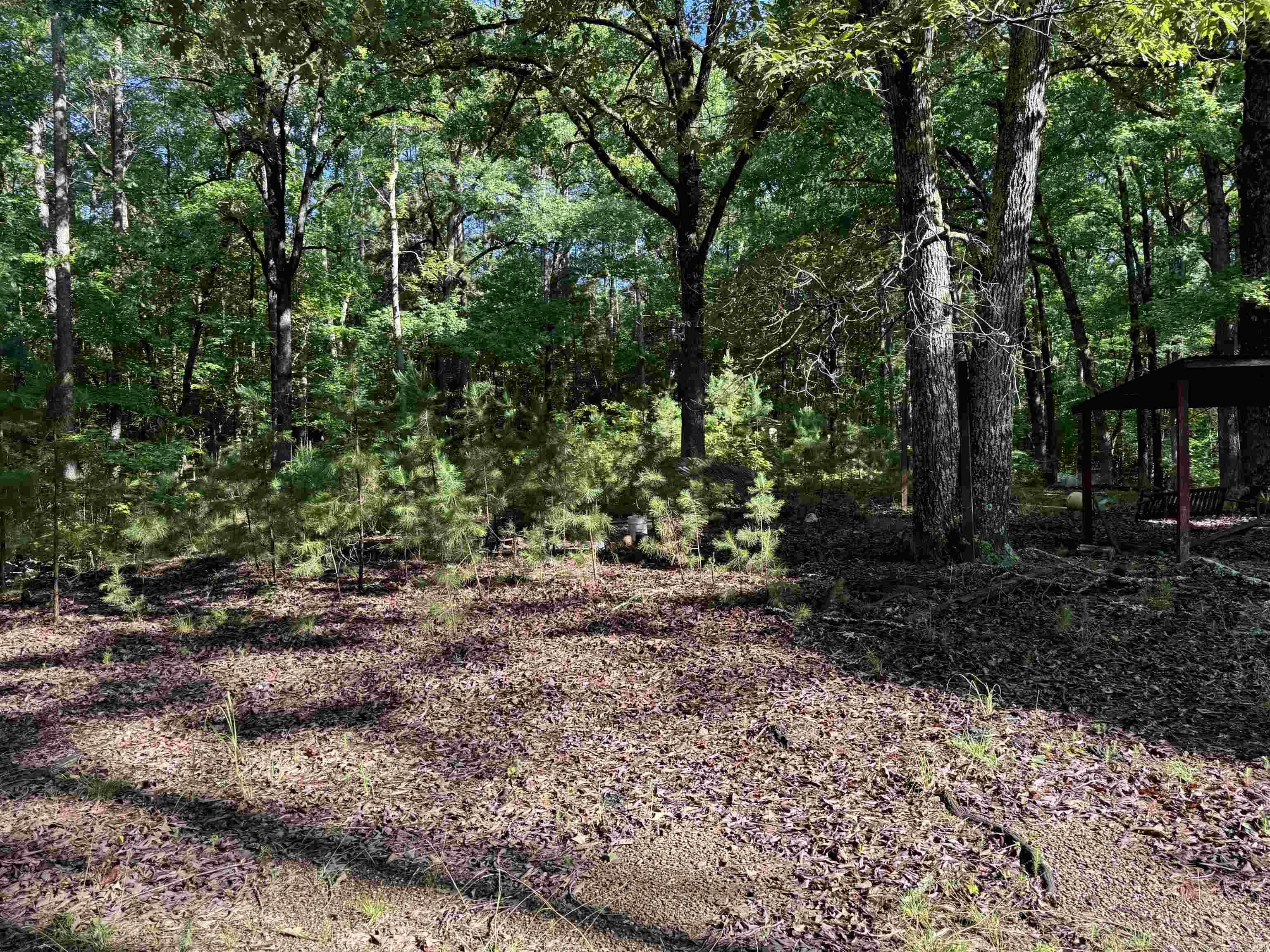 Not in Subdivision - Land