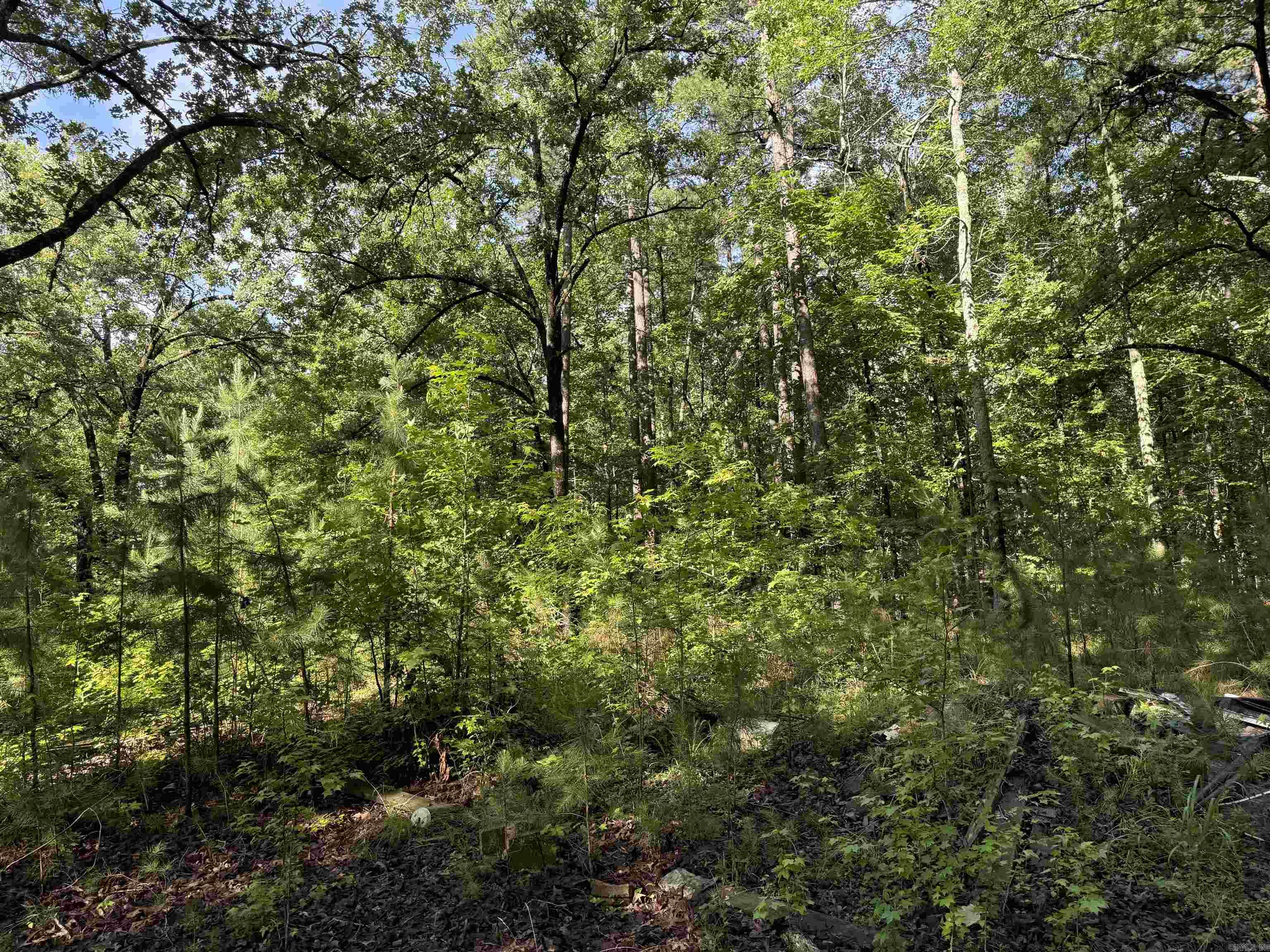 Not in Subdivision - Land