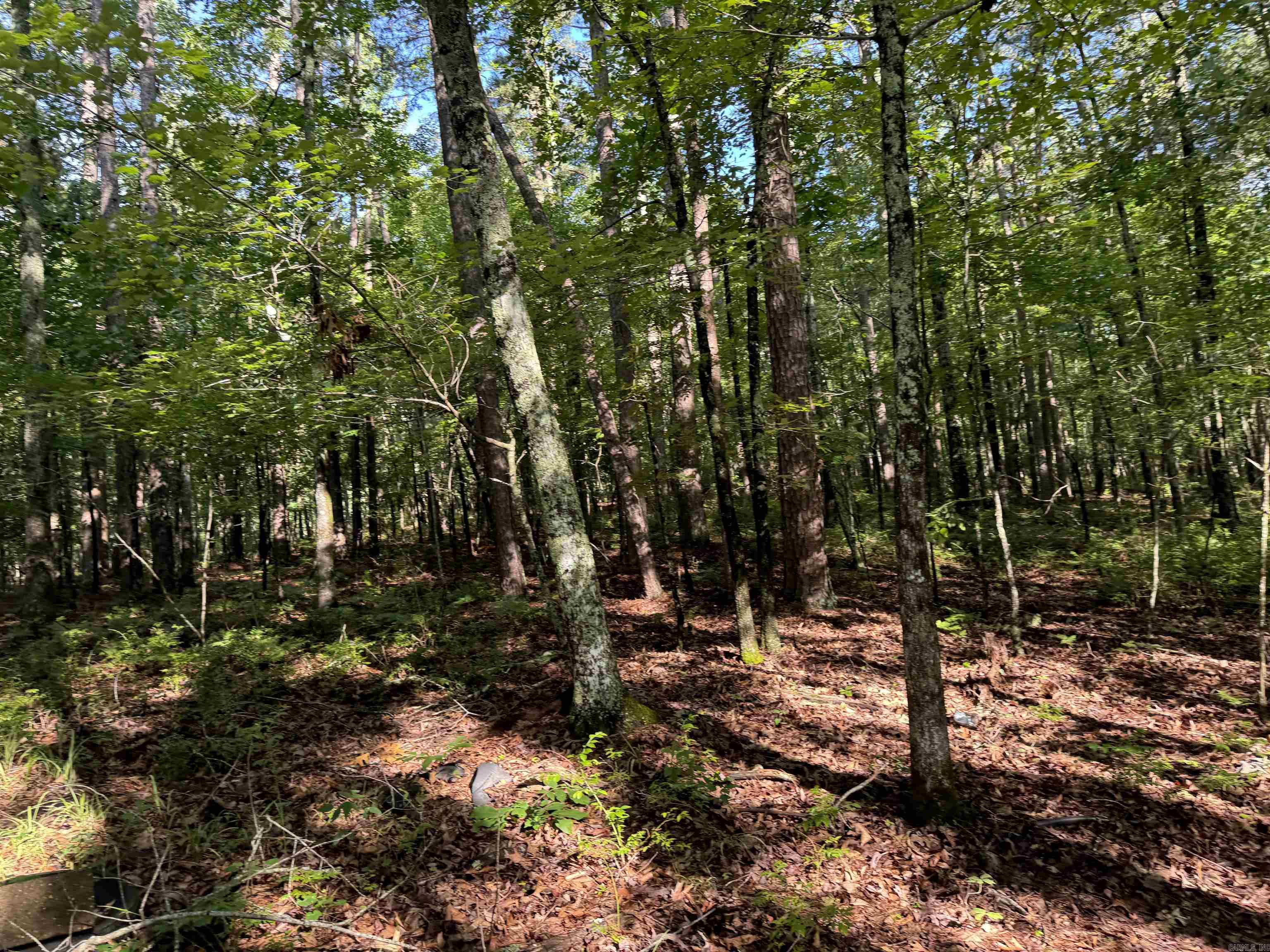 Not in Subdivision - Land