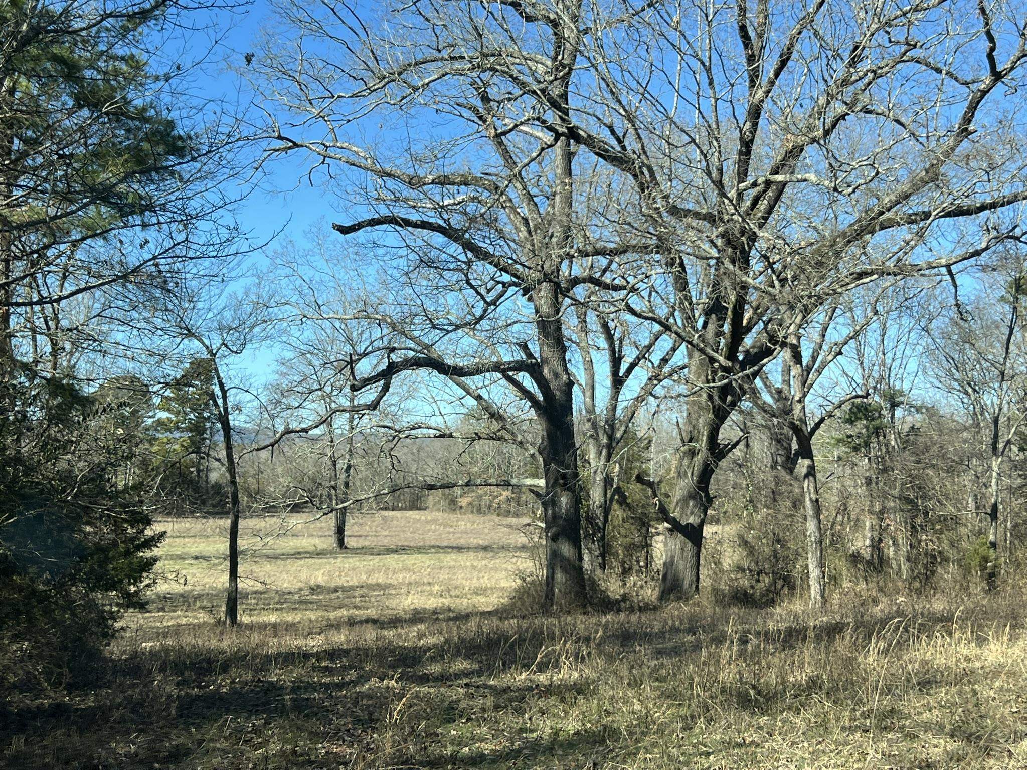 Pine Ridge - Residential