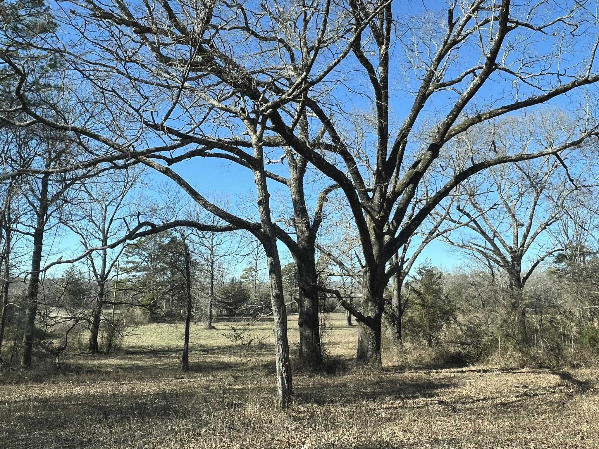 Pine Ridge - Residential