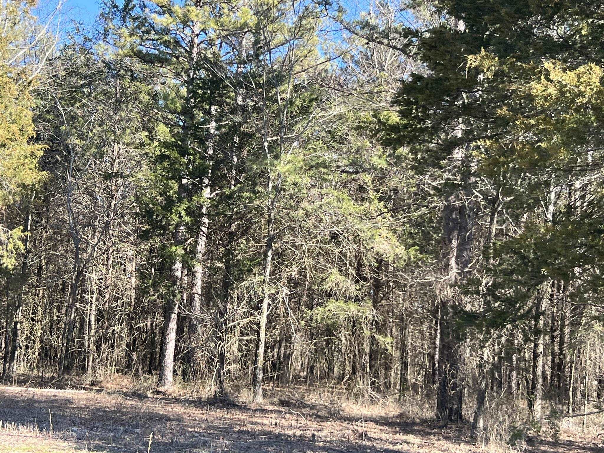 Pine Ridge - Residential