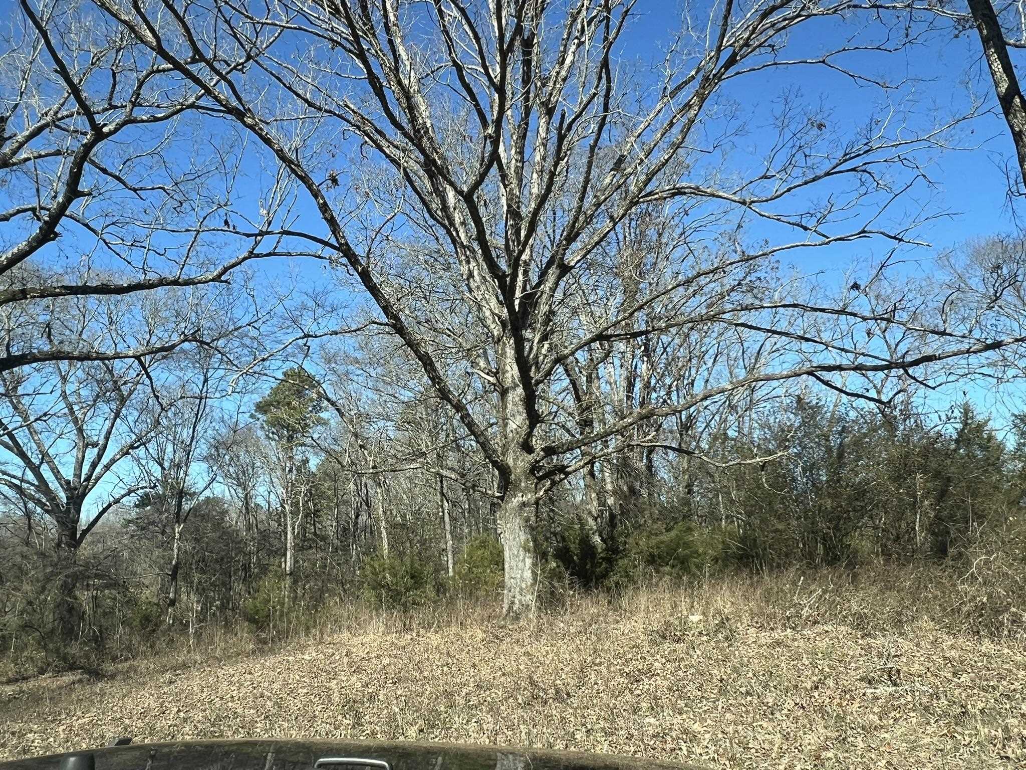 Pine Ridge - Residential