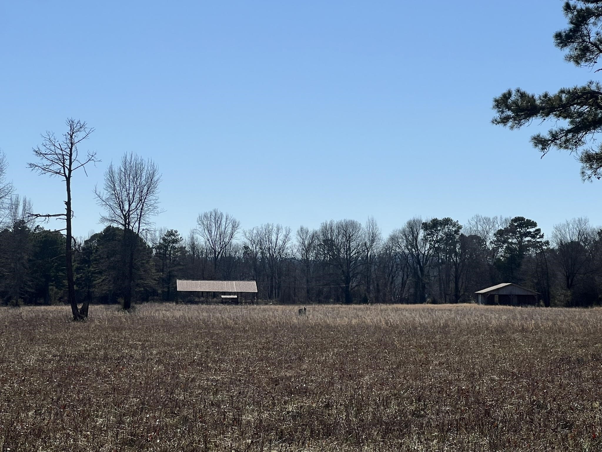 Pine Ridge - Residential