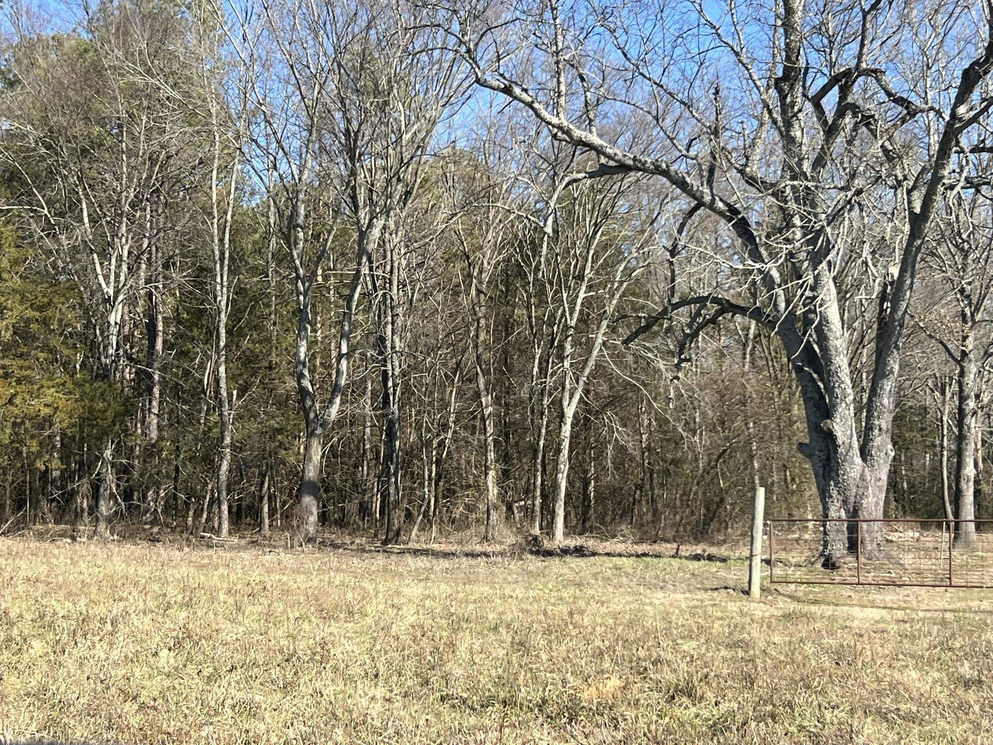 Pine Ridge - Residential