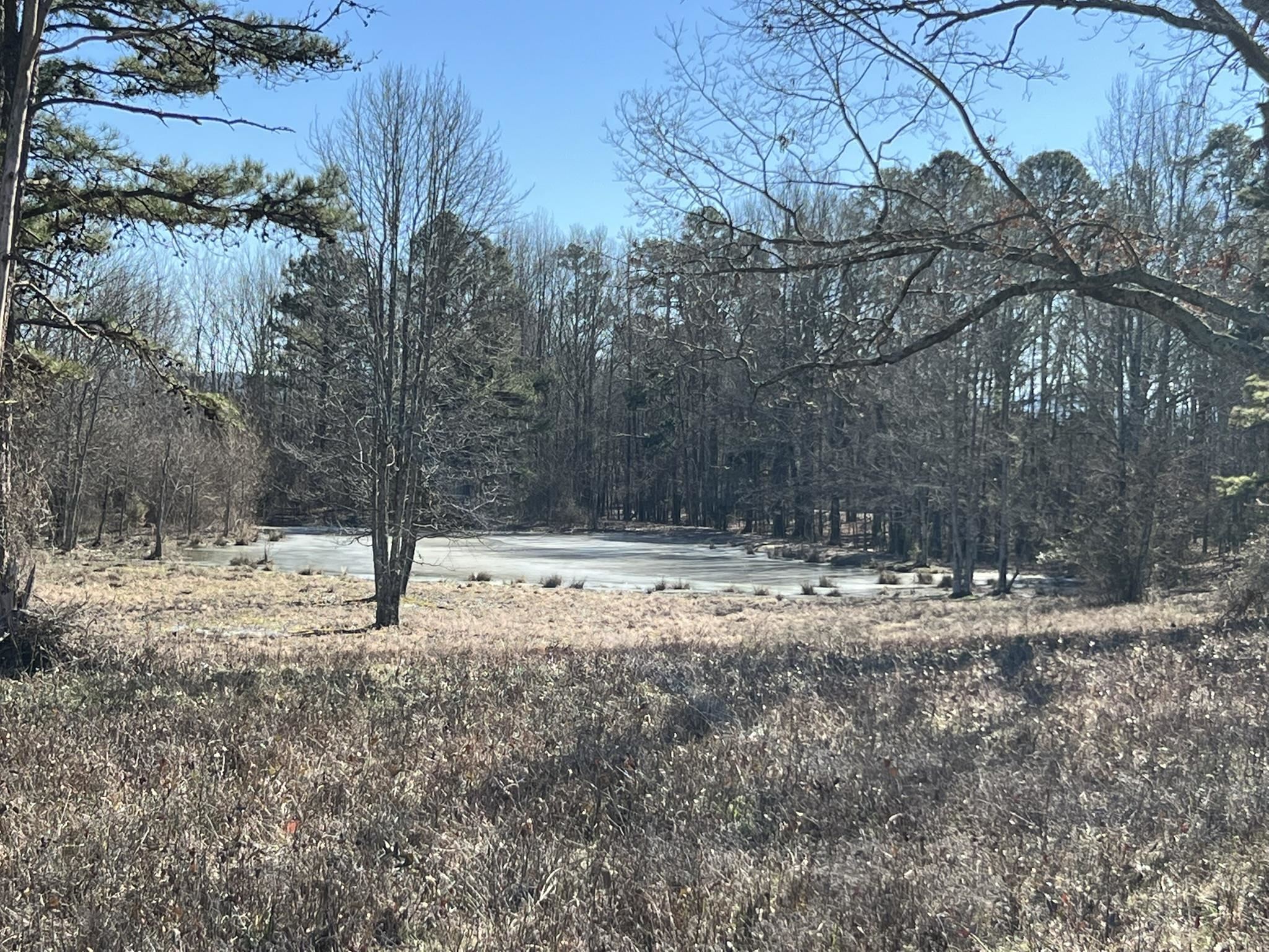 Pine Ridge - Residential