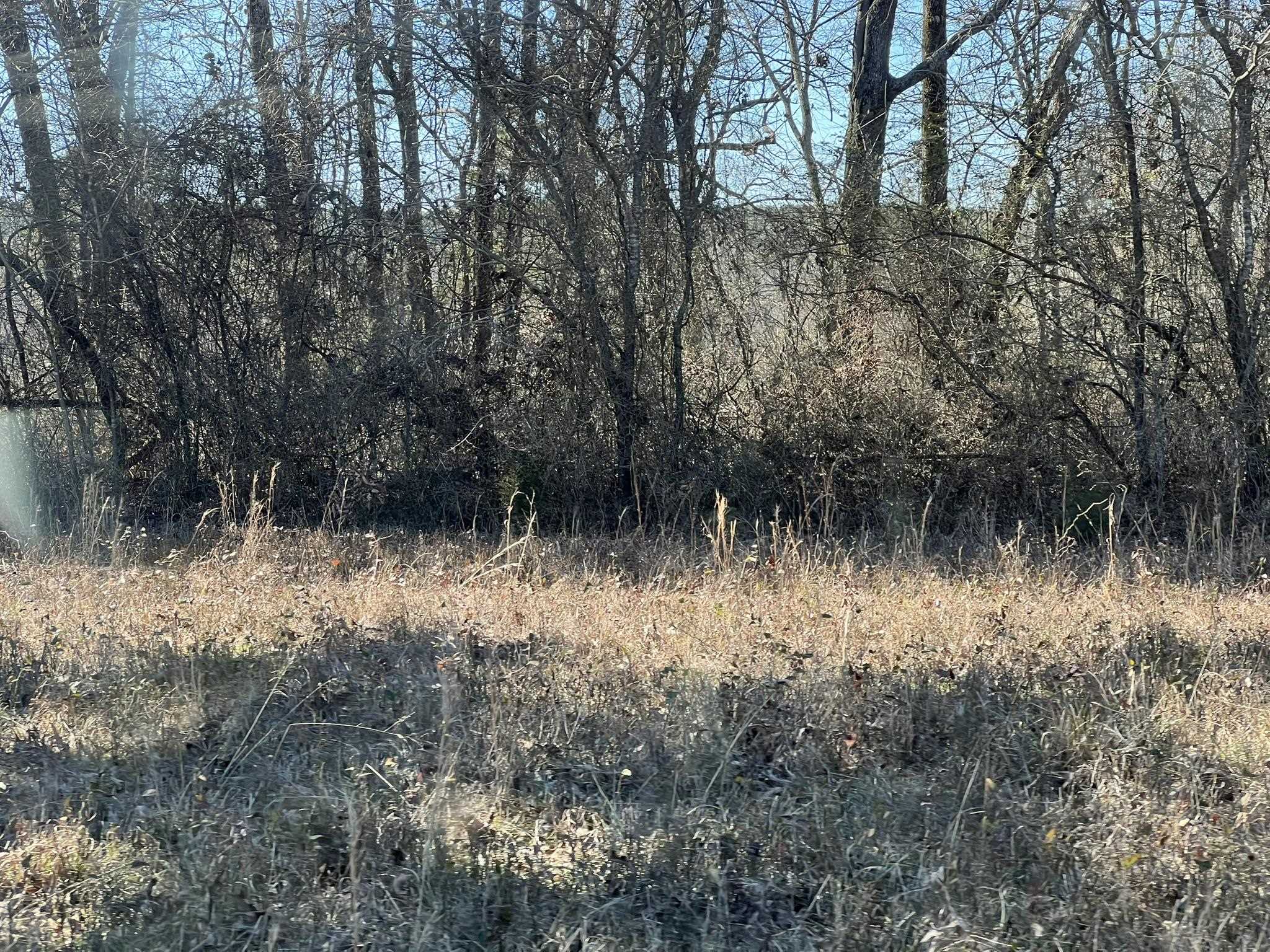 Pine Ridge - Residential