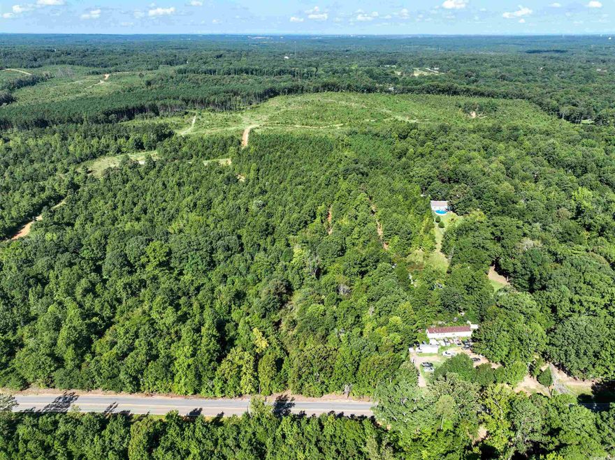 Wood terrain community and interior development is ongoing and expected completion is late fall. 20 years old or new mobiles accepted. Power and rural water along the road with Fiber Optic Internet. Trinity Baptist Church is across the road and 16 miles to Little Rock. Approximate frontage 143 sq ft. Make it yours!