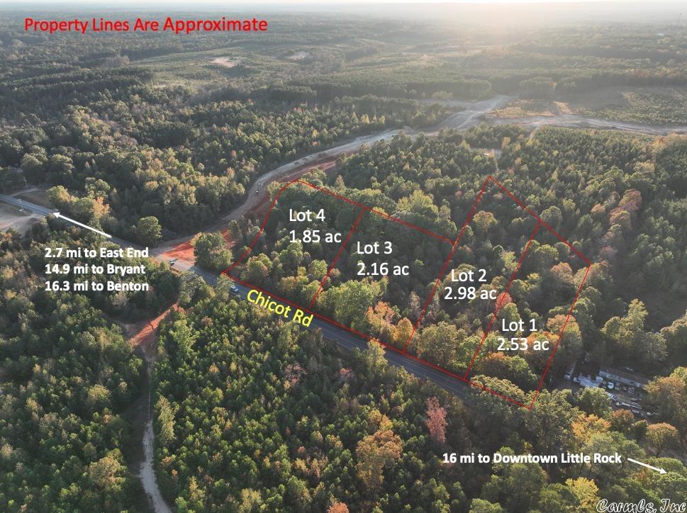 Mountain Pine - Land