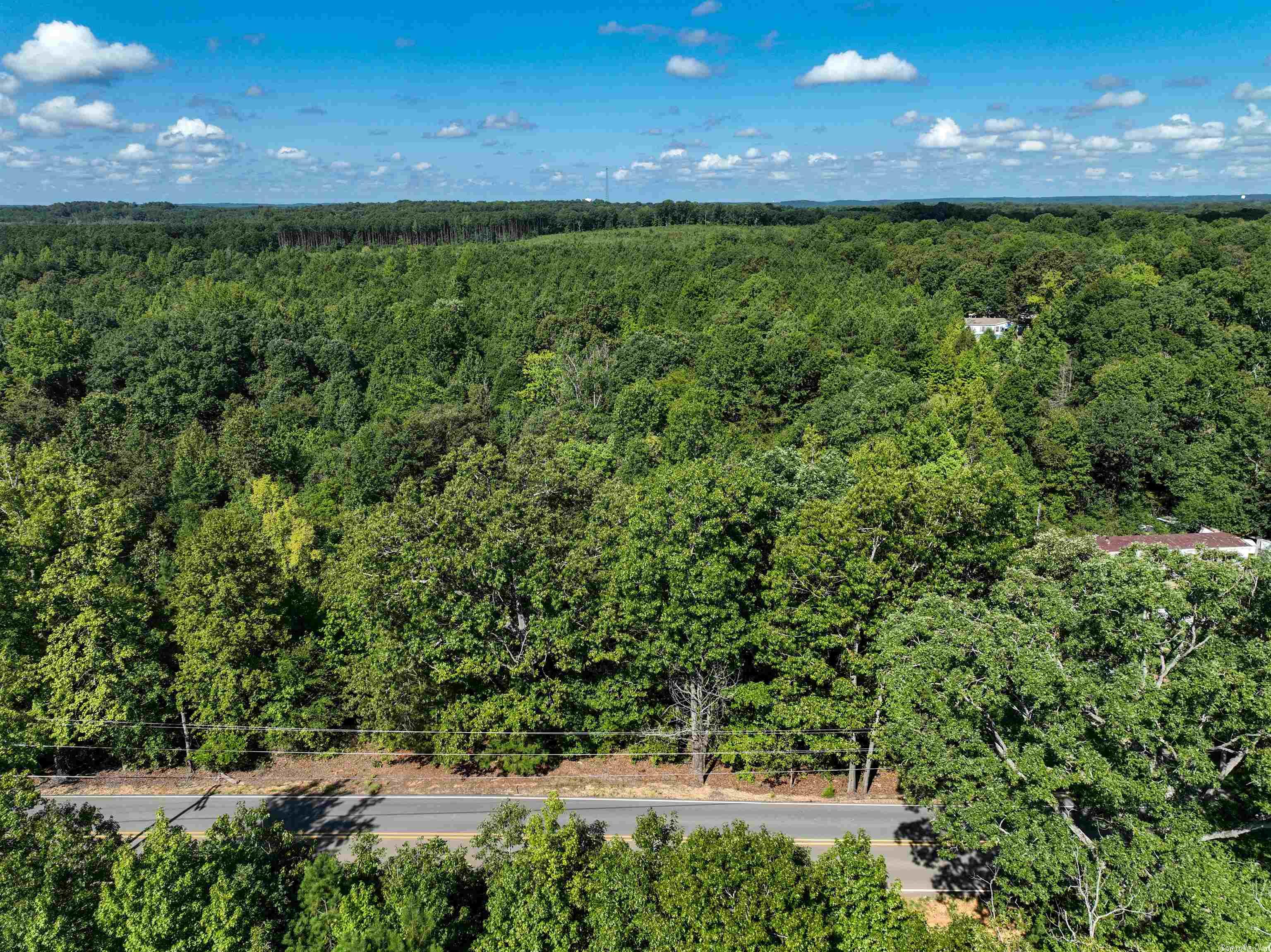 Mountain Pine - Land