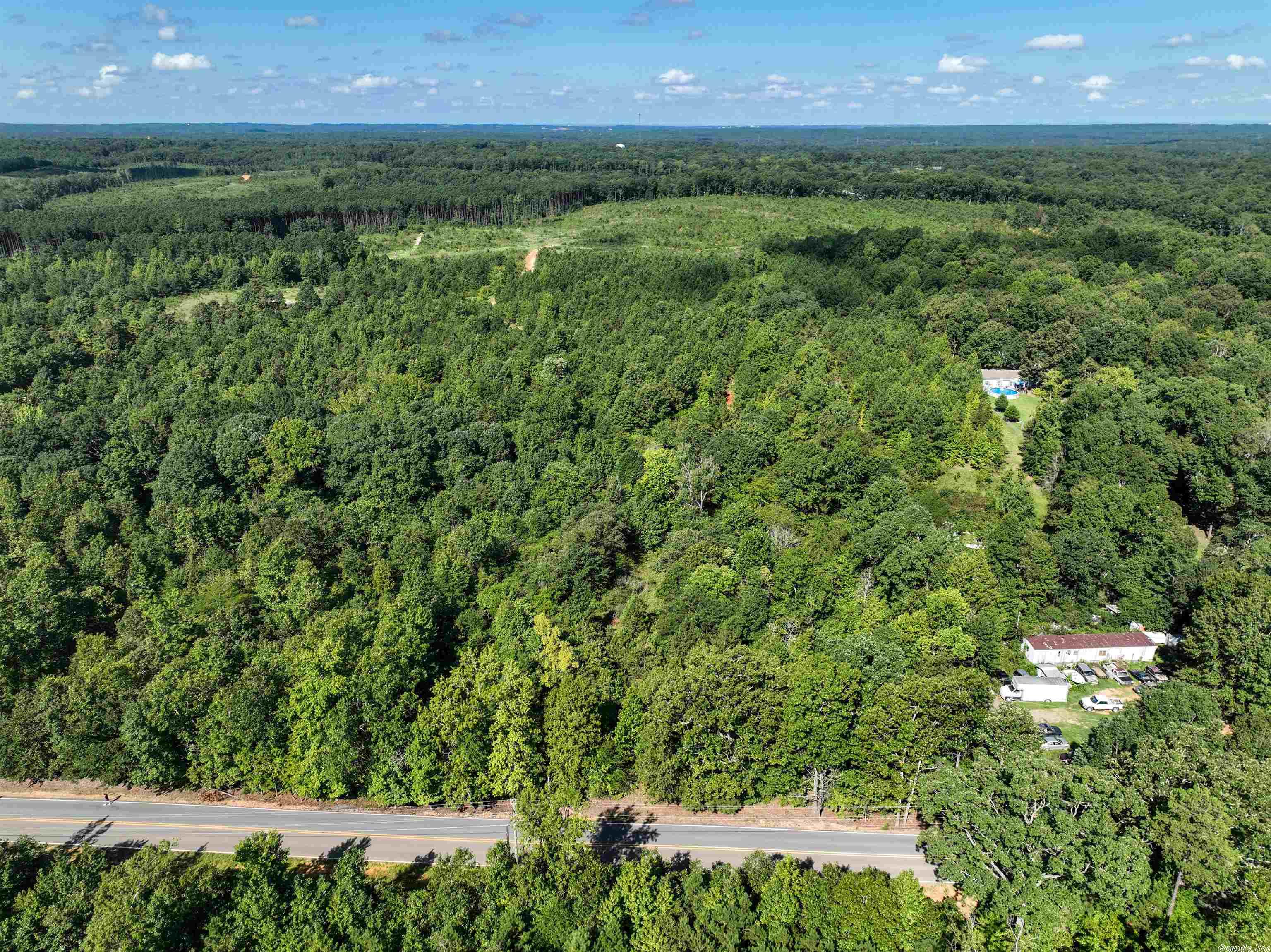 Mountain Pine - Land