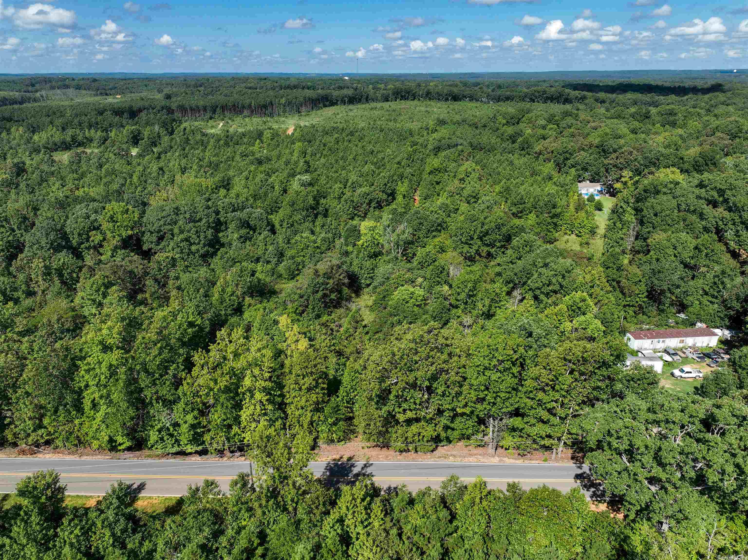 Mountain Pine - Land