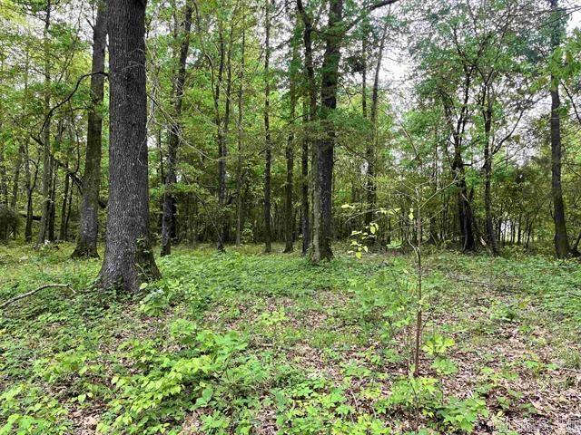 Shady Grove Acres Estates - Land