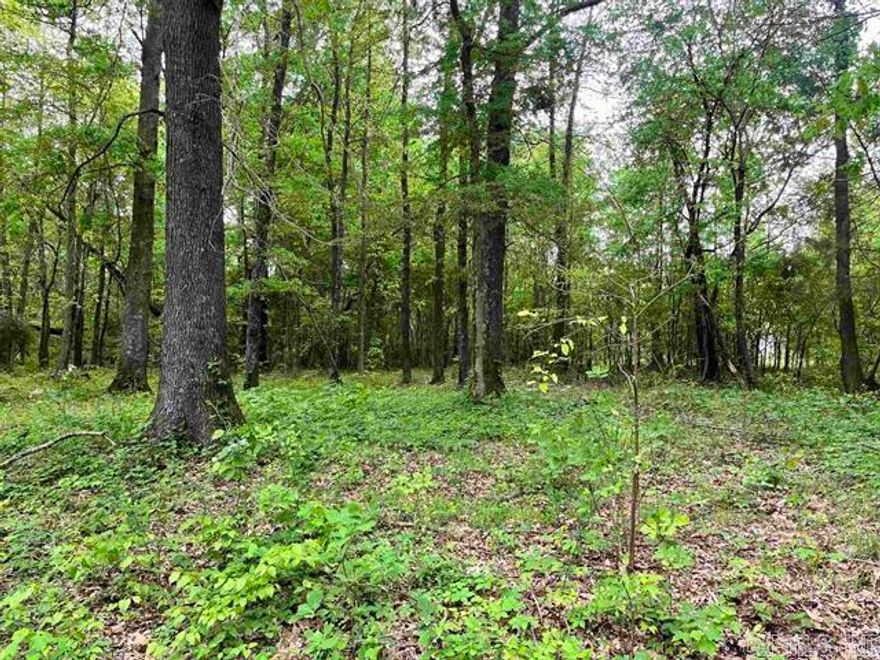 Property Sold Before Listed