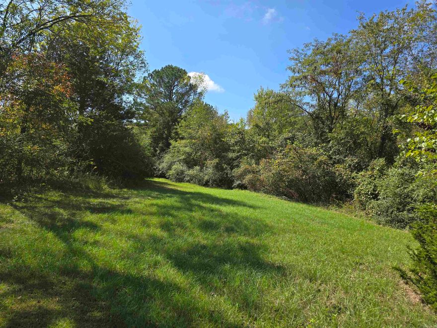 Opportunity to own 2 acres to turn into your dream home - Call listing agent for more information