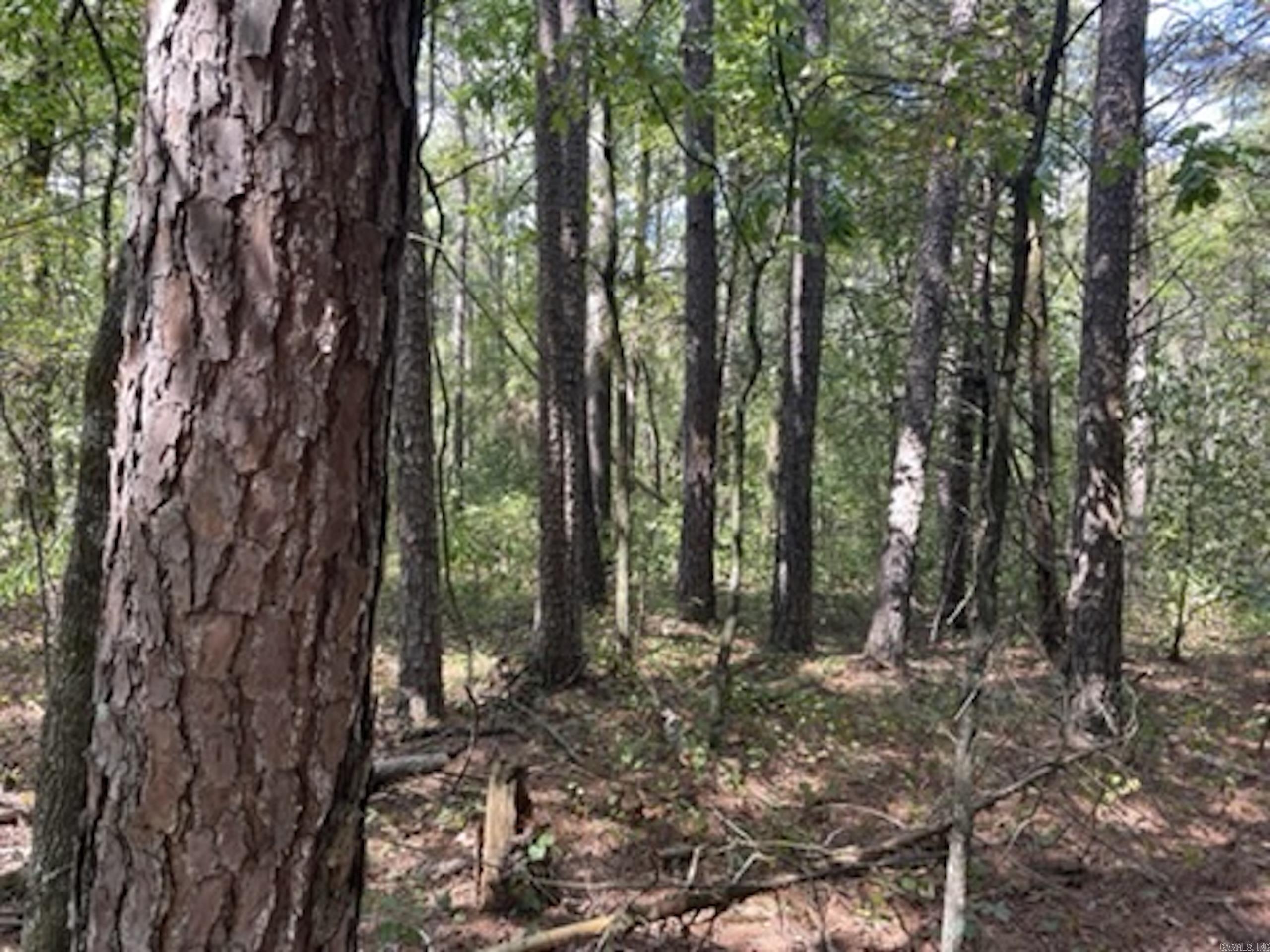 Not in Subdivision - Land