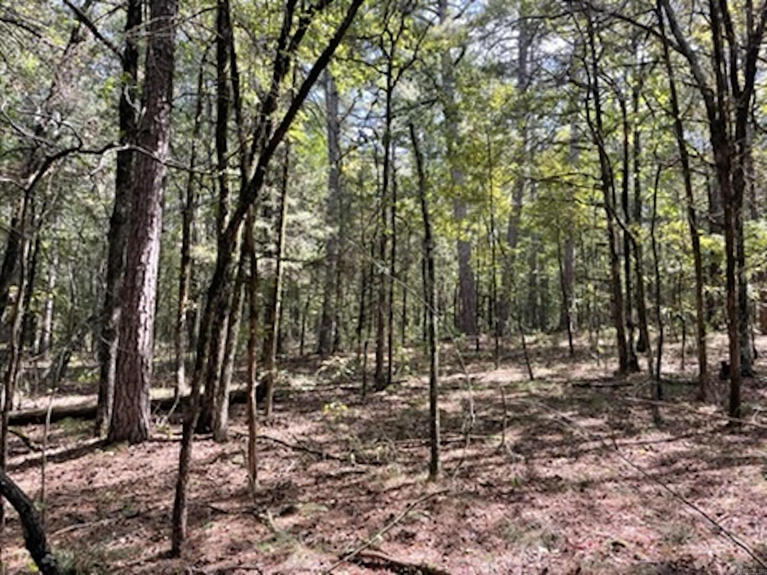 Not in Subdivision - Land