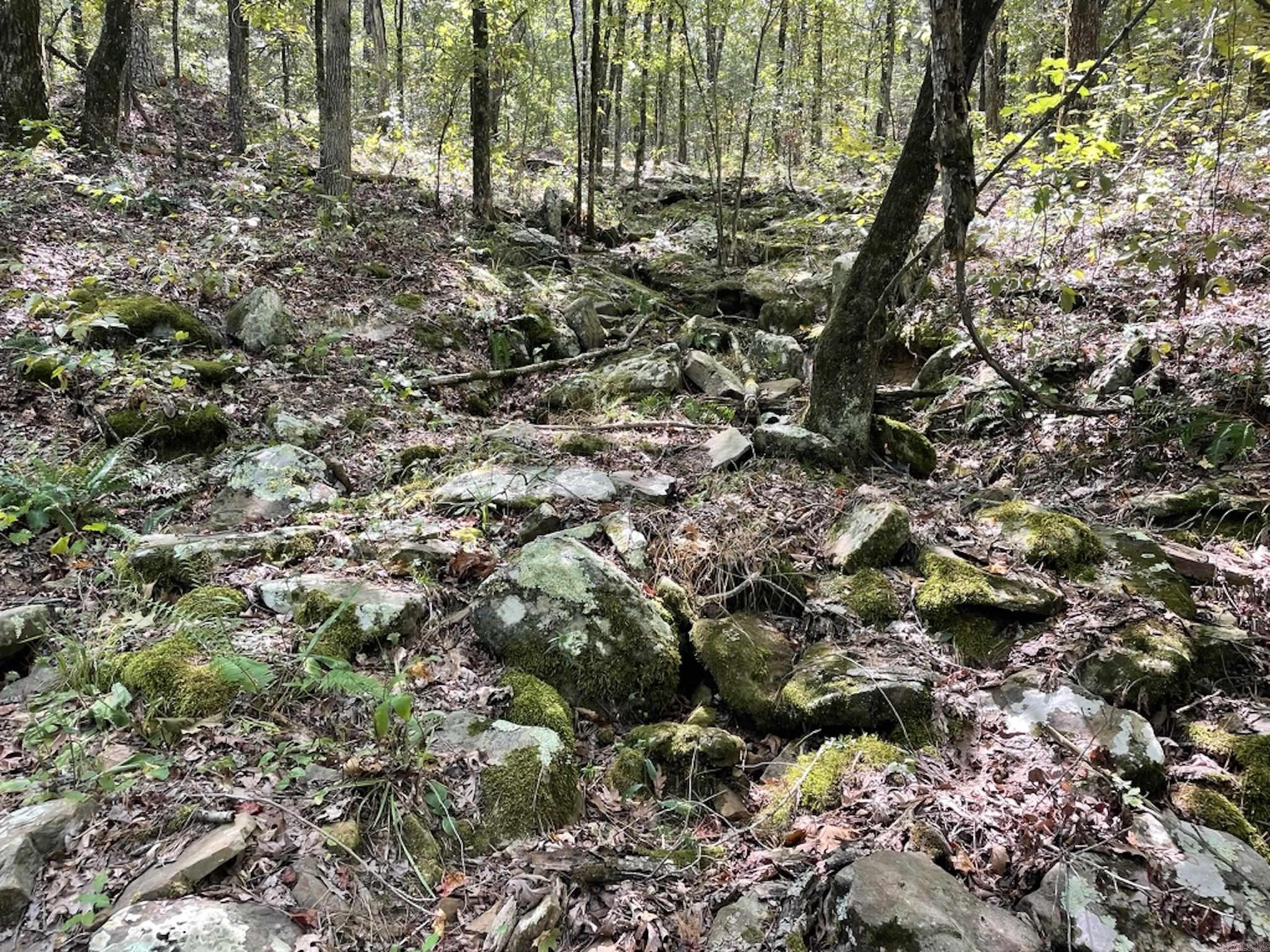 Not in Subdivision - Land