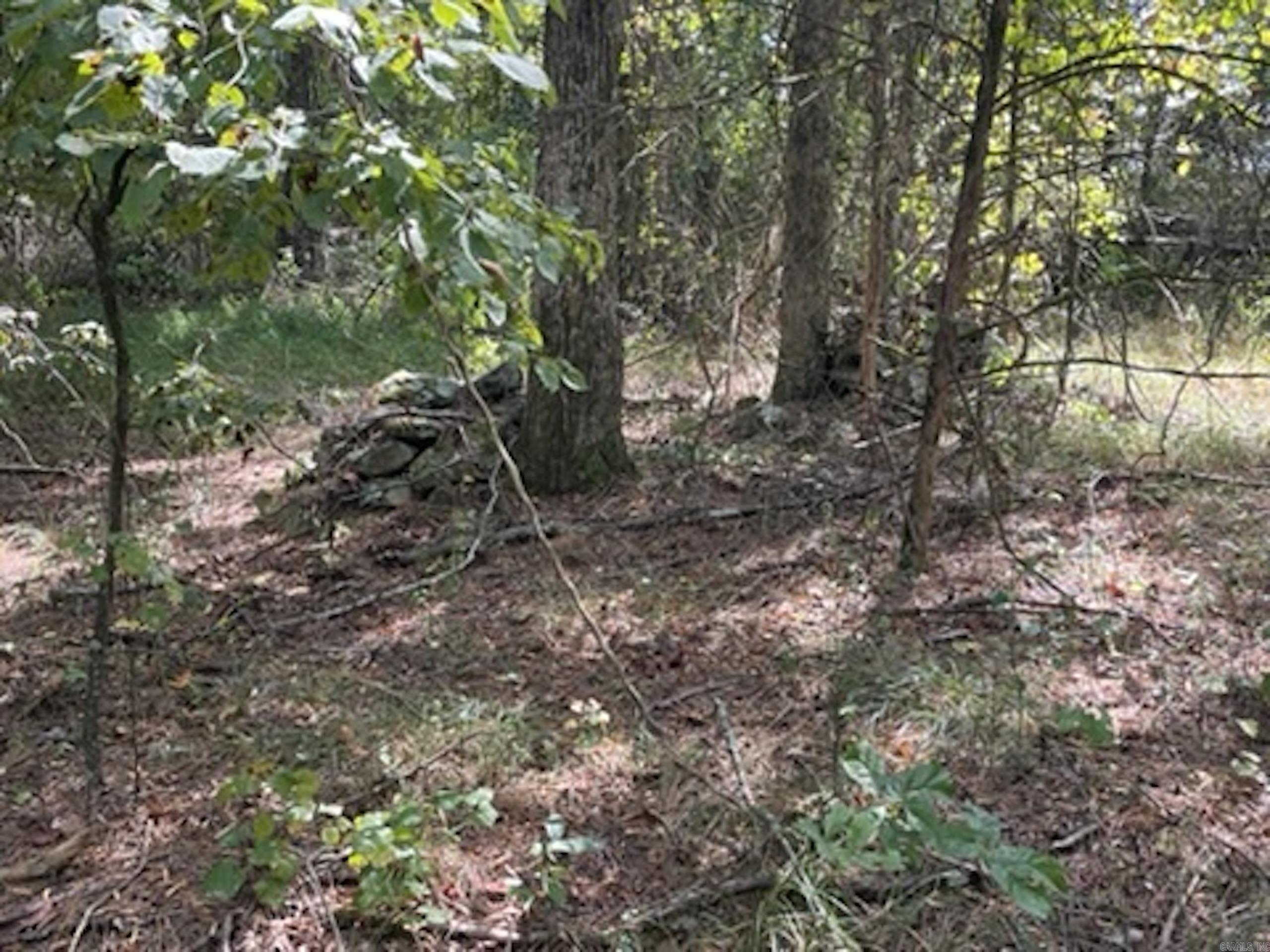 Not in Subdivision - Land